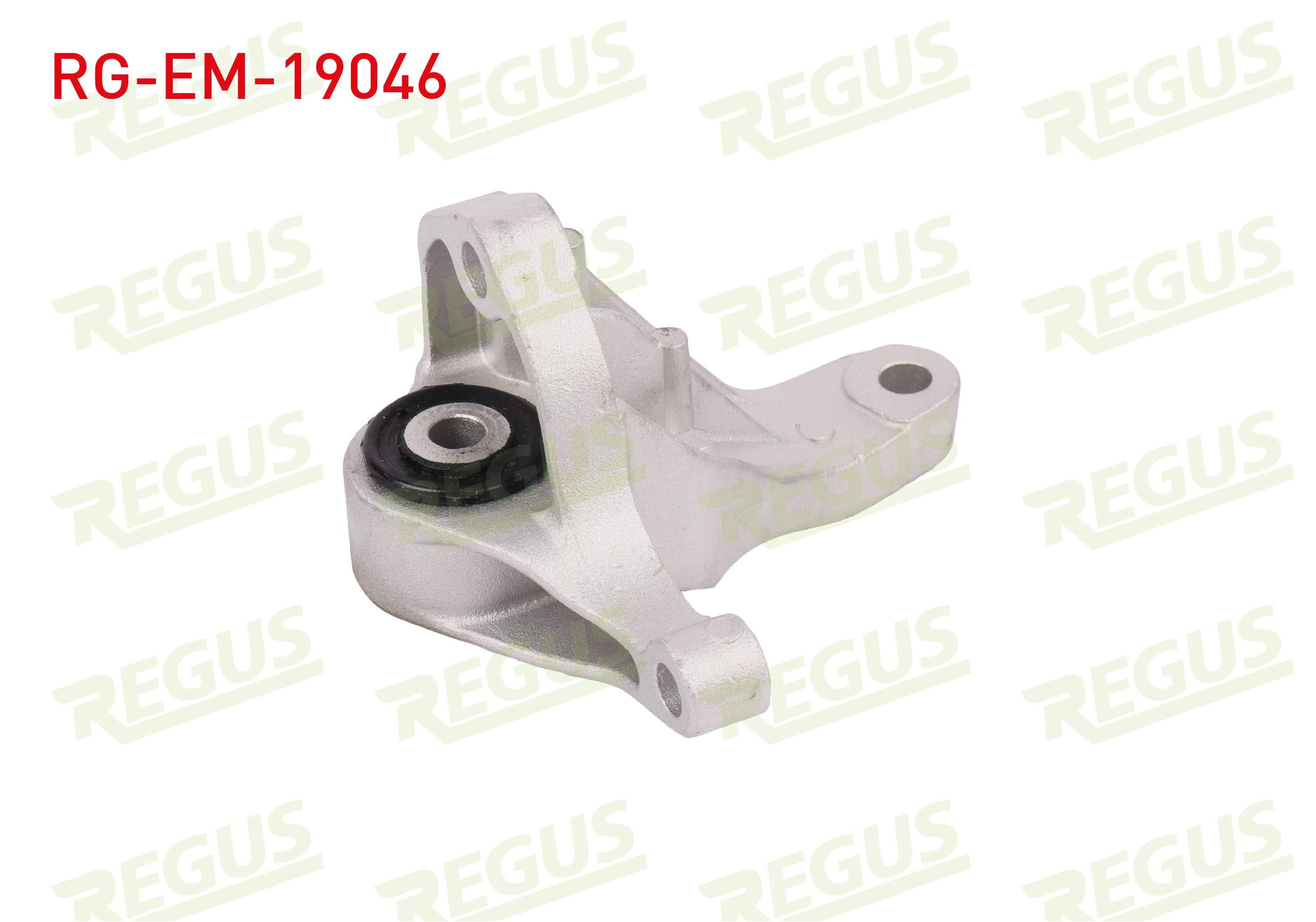 REGUS 29870