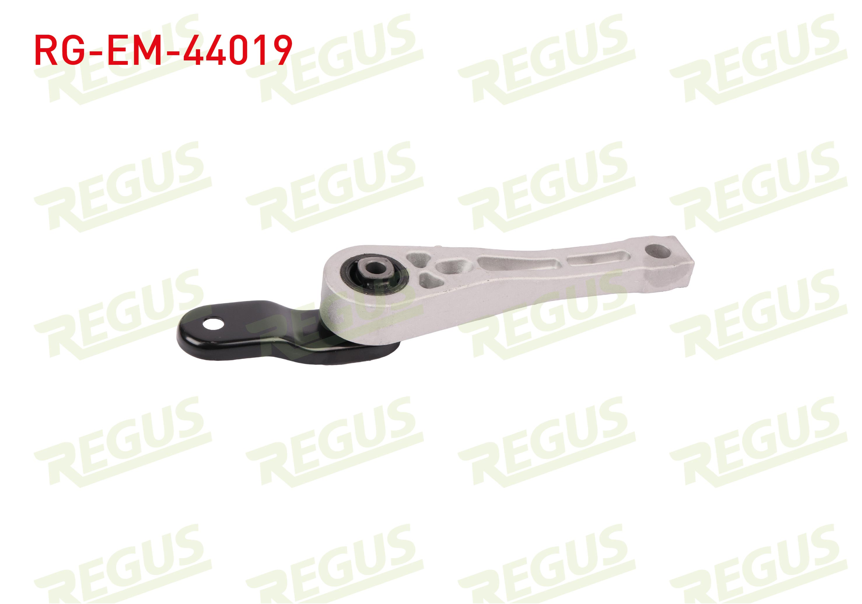 REGUS 