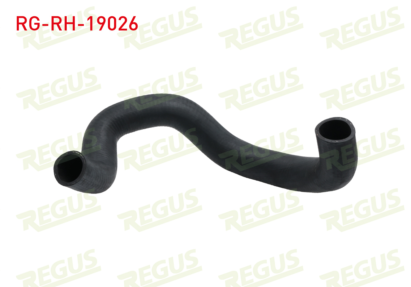 REGUS  | RADYATOR UST HORTUMU FORD TRANSIT (FA_ _) 2.4 TDCI 2000-2006