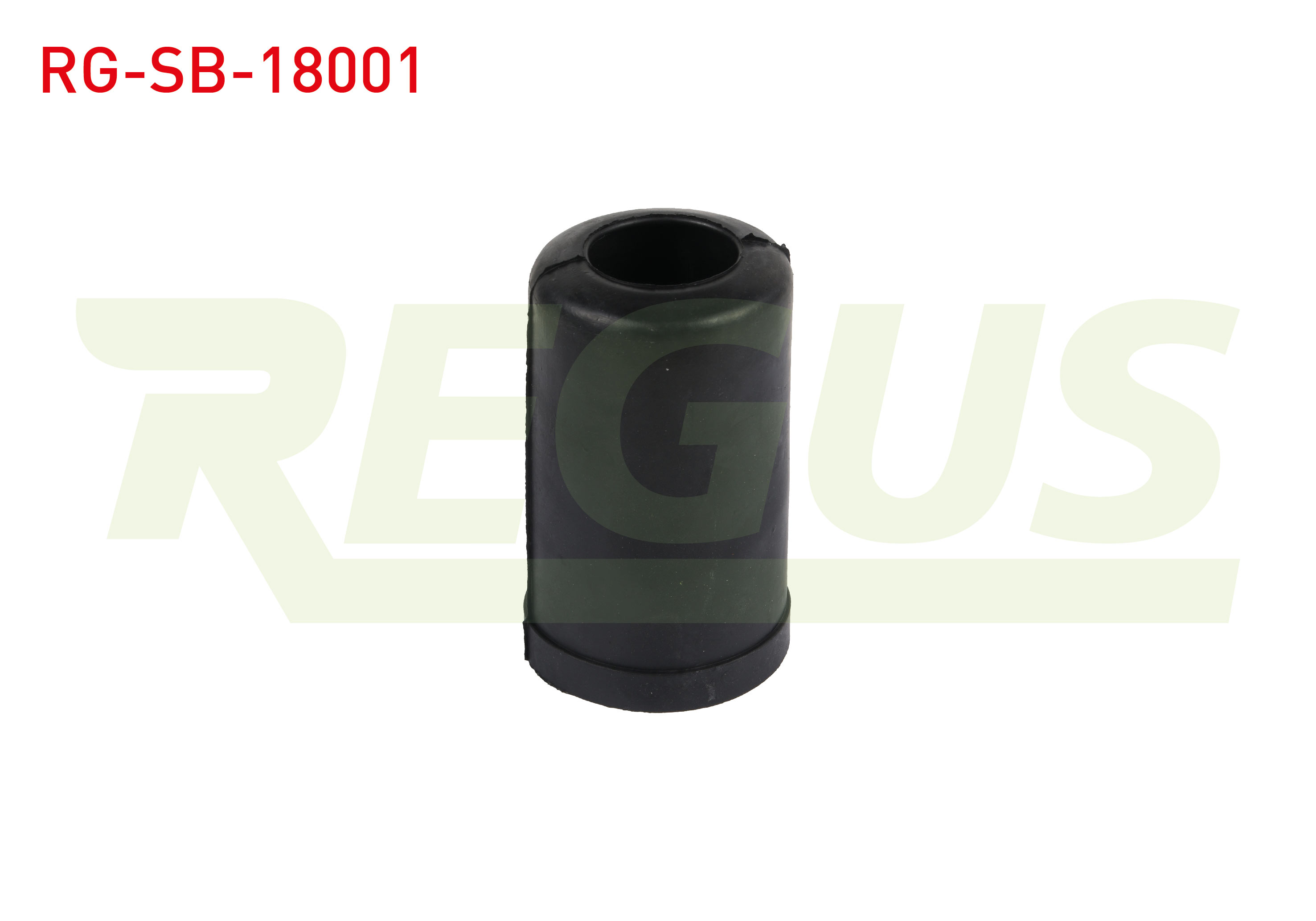REGUS 