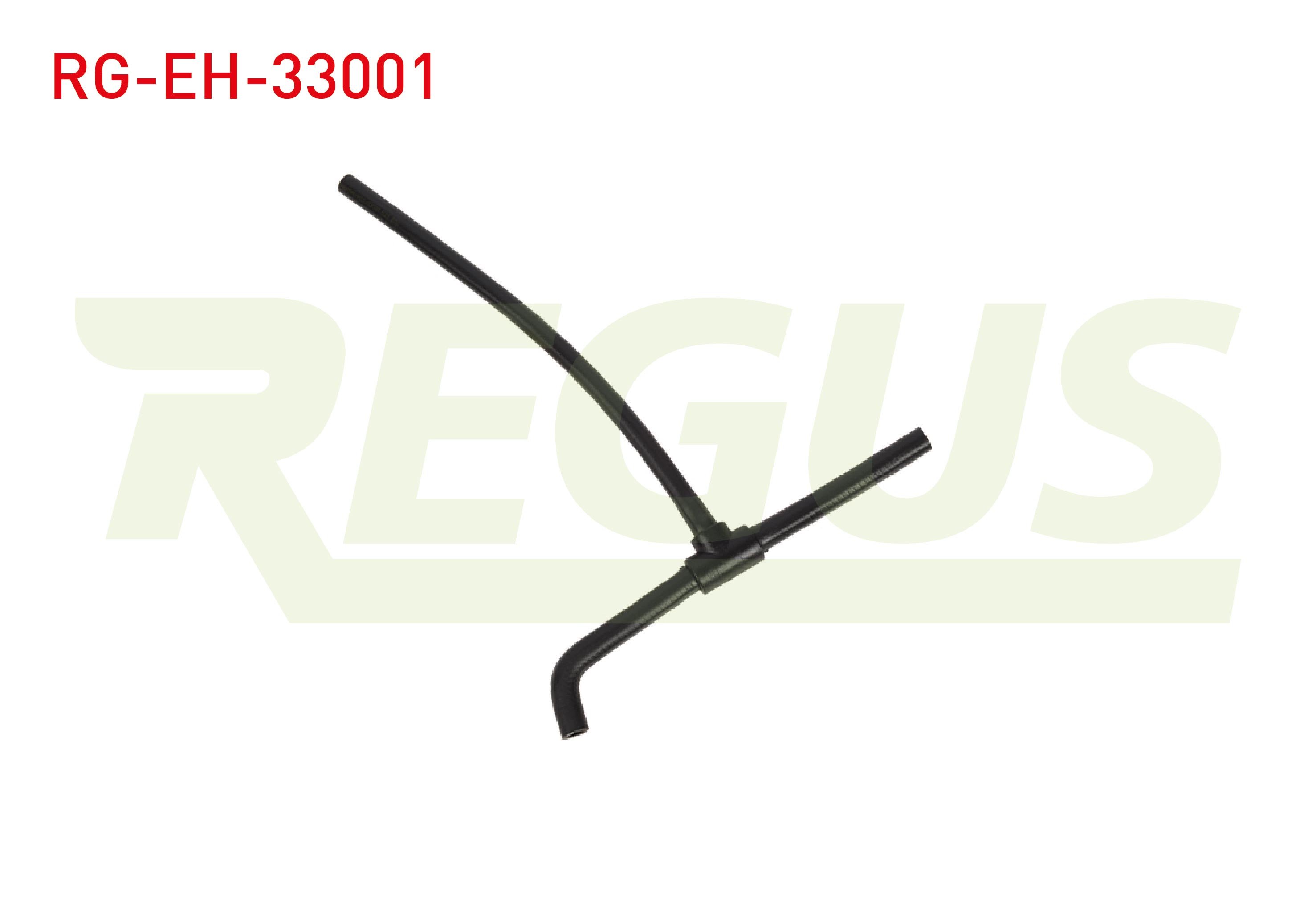 REGUS 17776