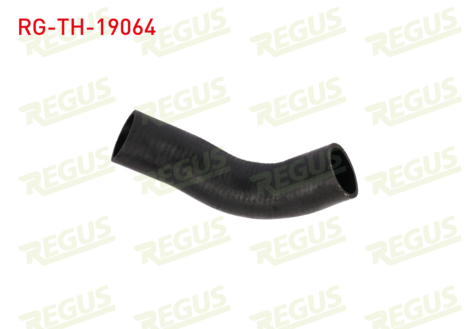 REGUS 19654