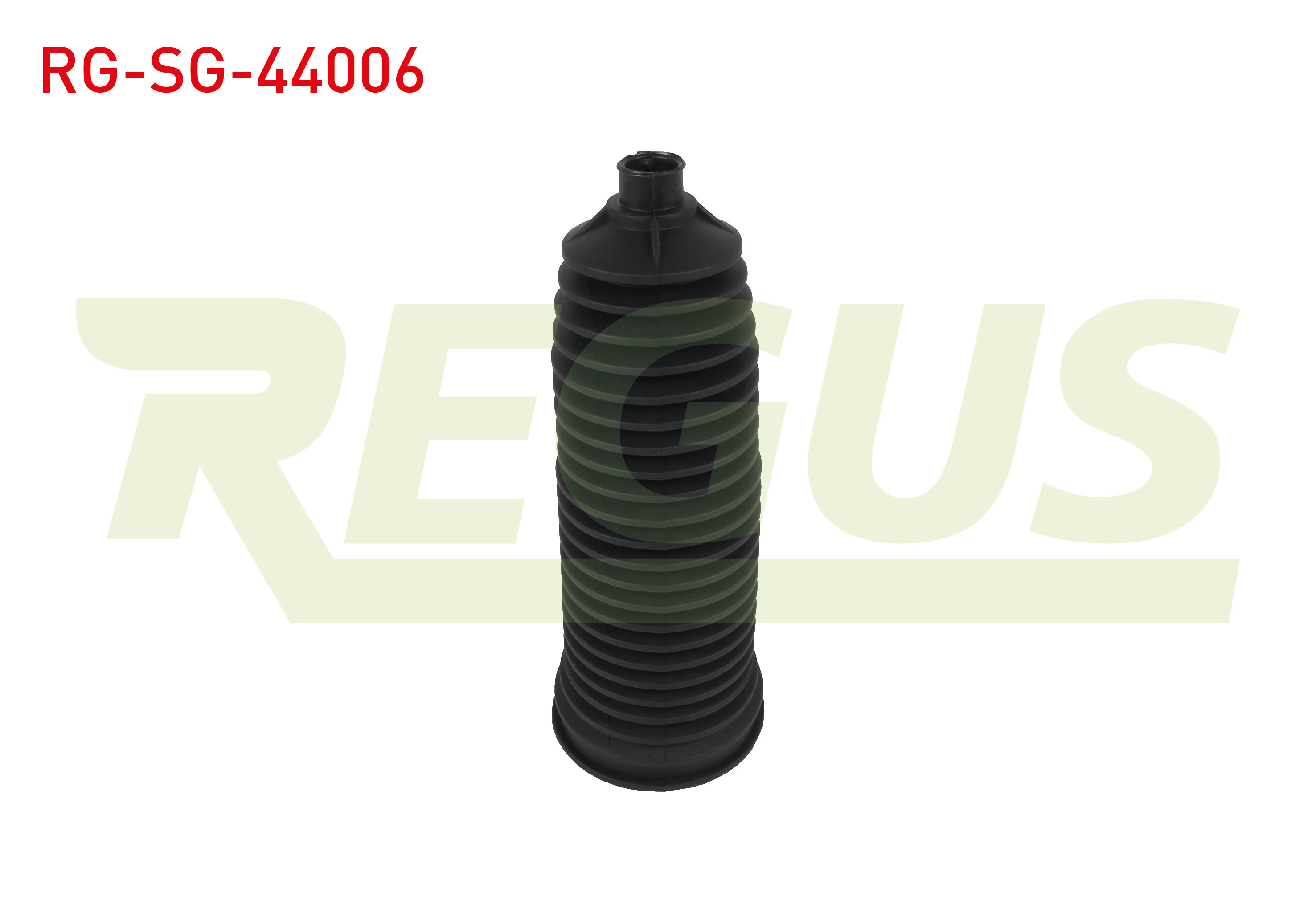 REGUS 