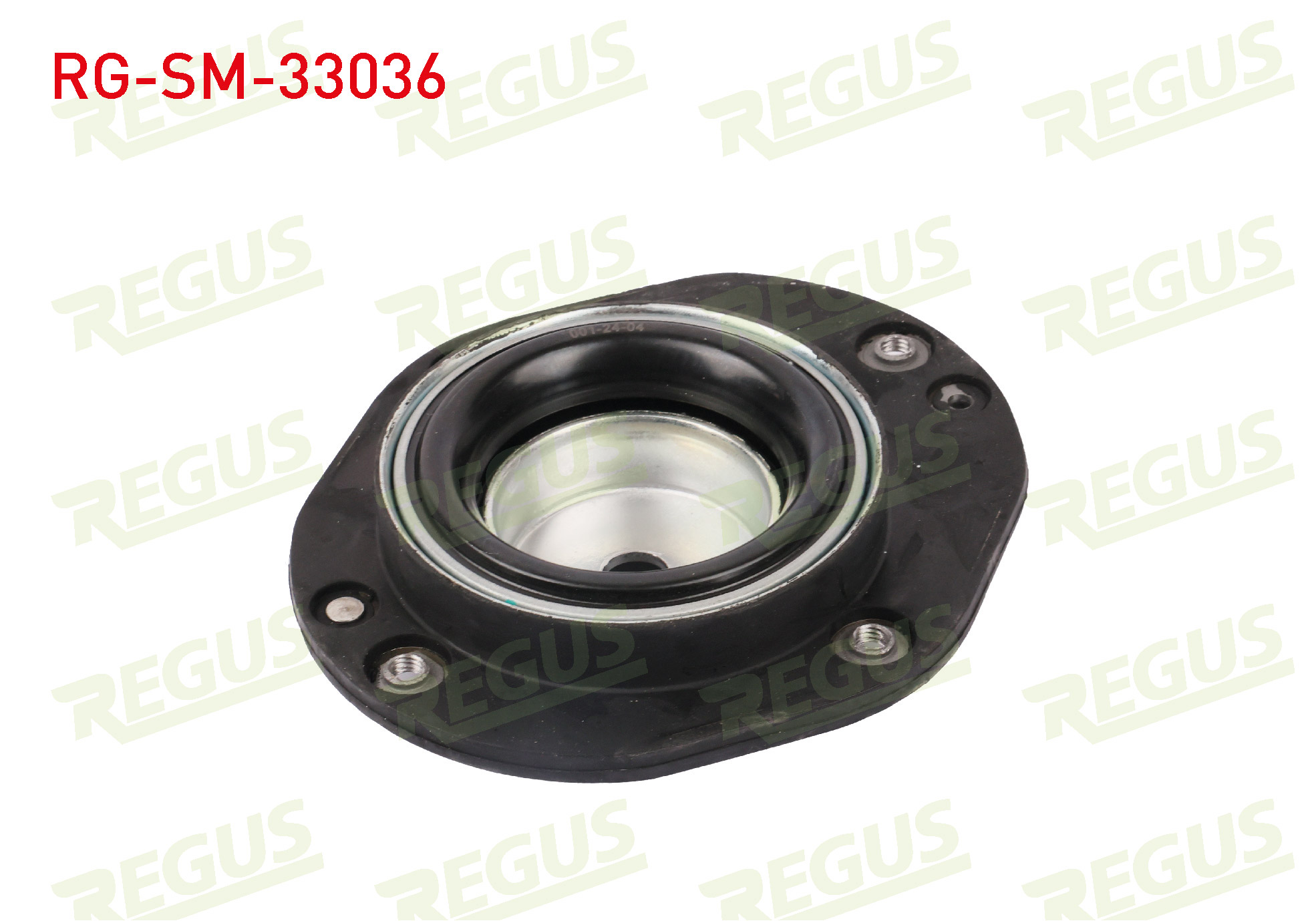 REGUS 63-13179