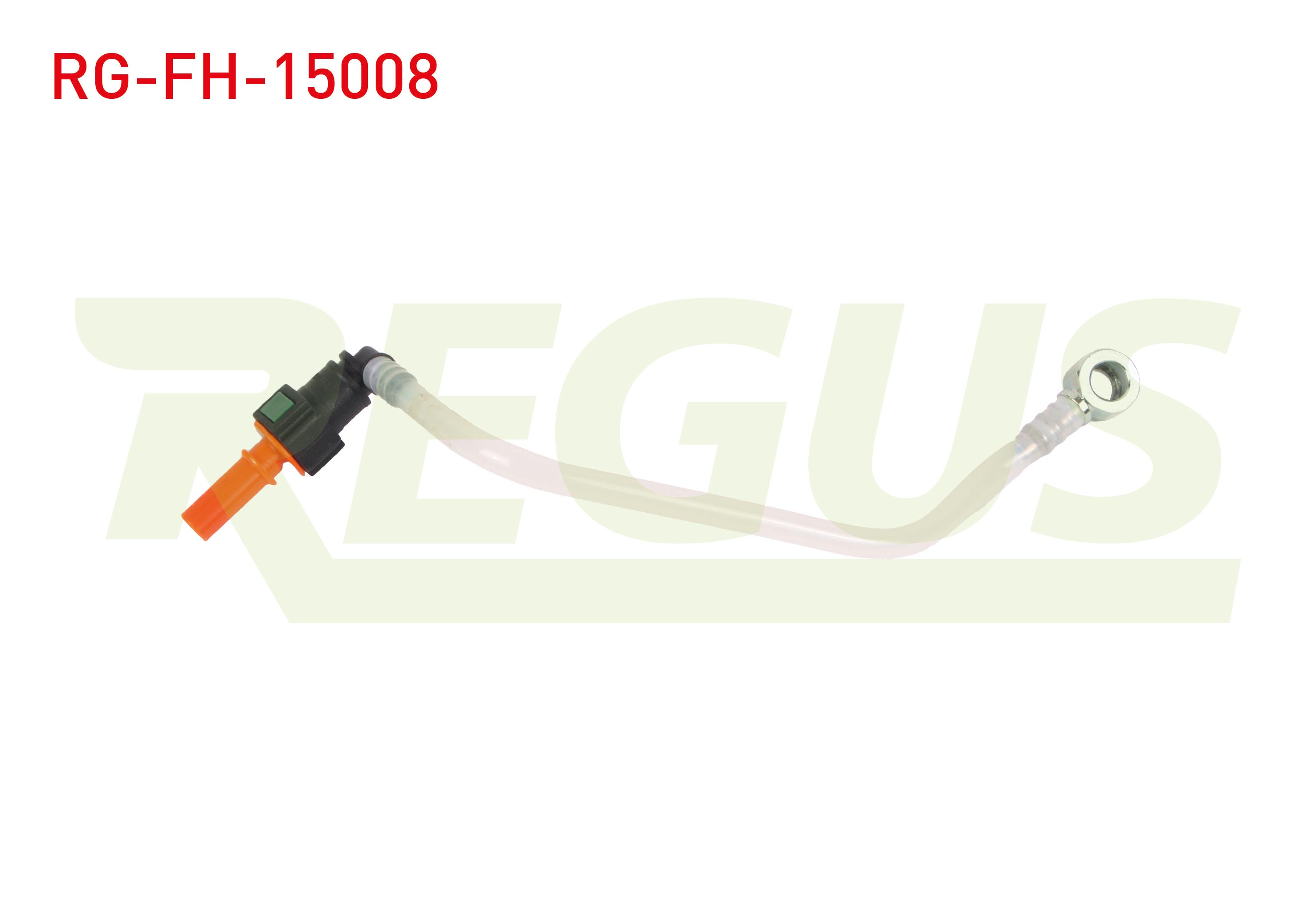 REGUS 17697