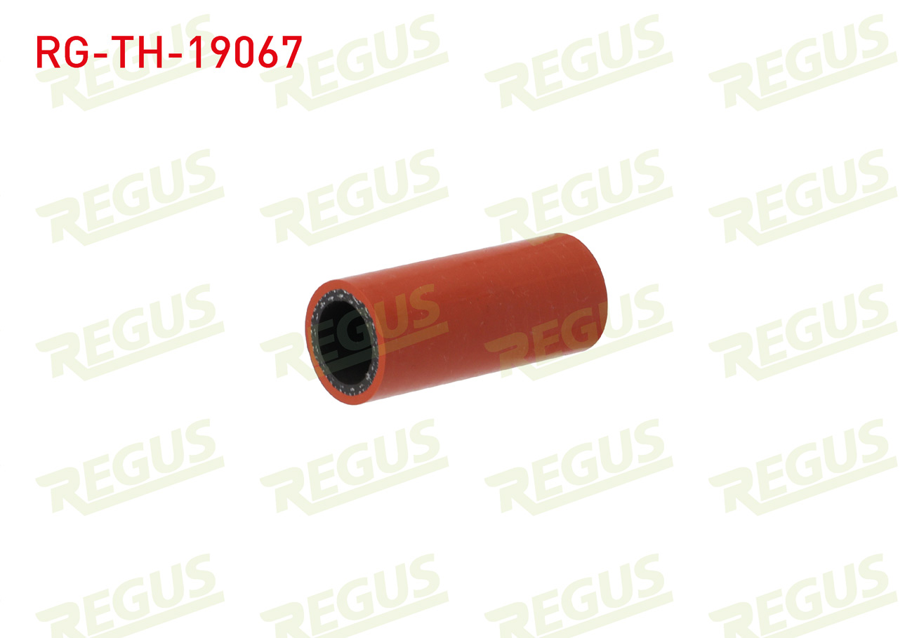 REGUS 19657