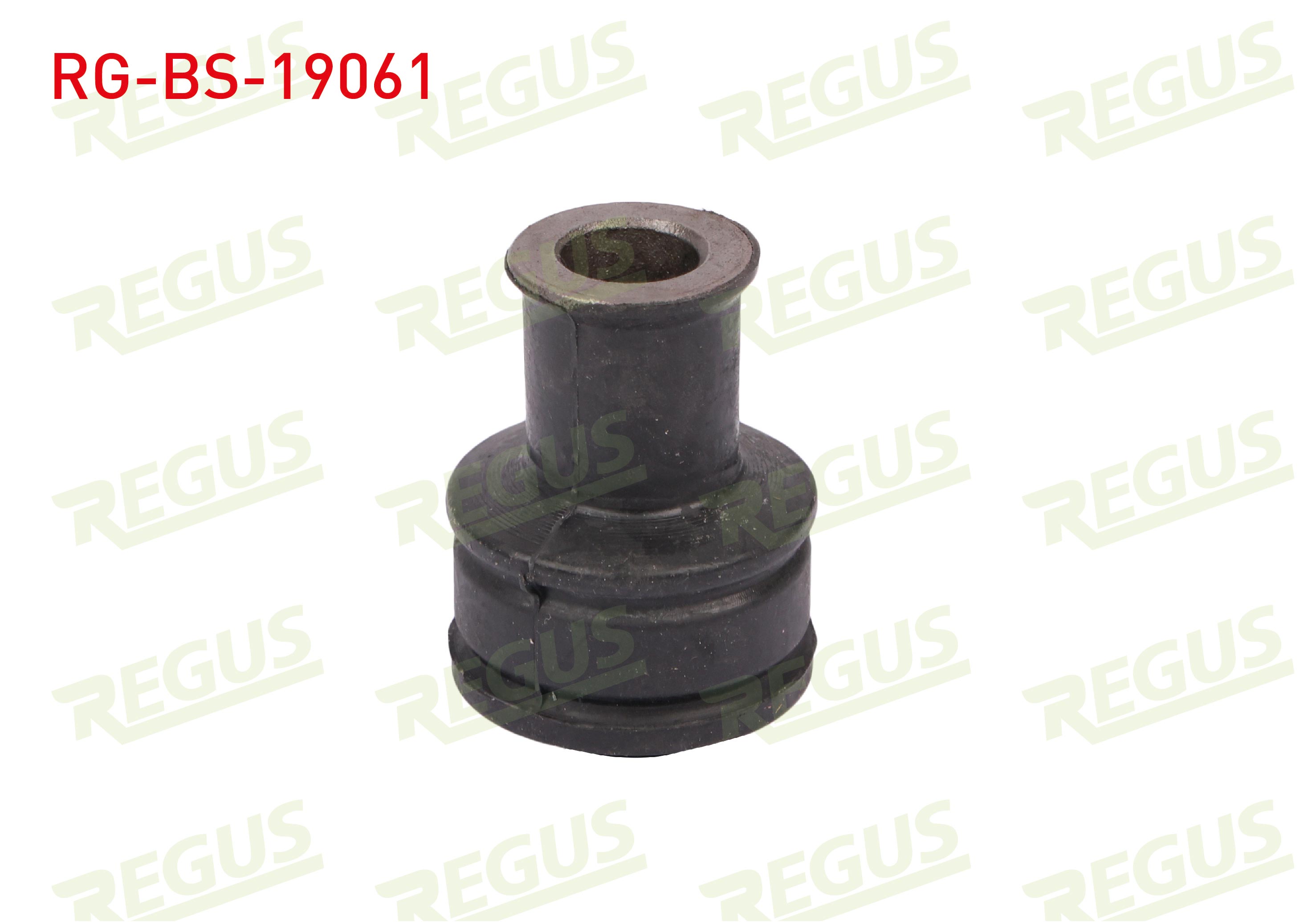 REGUS 63-04995