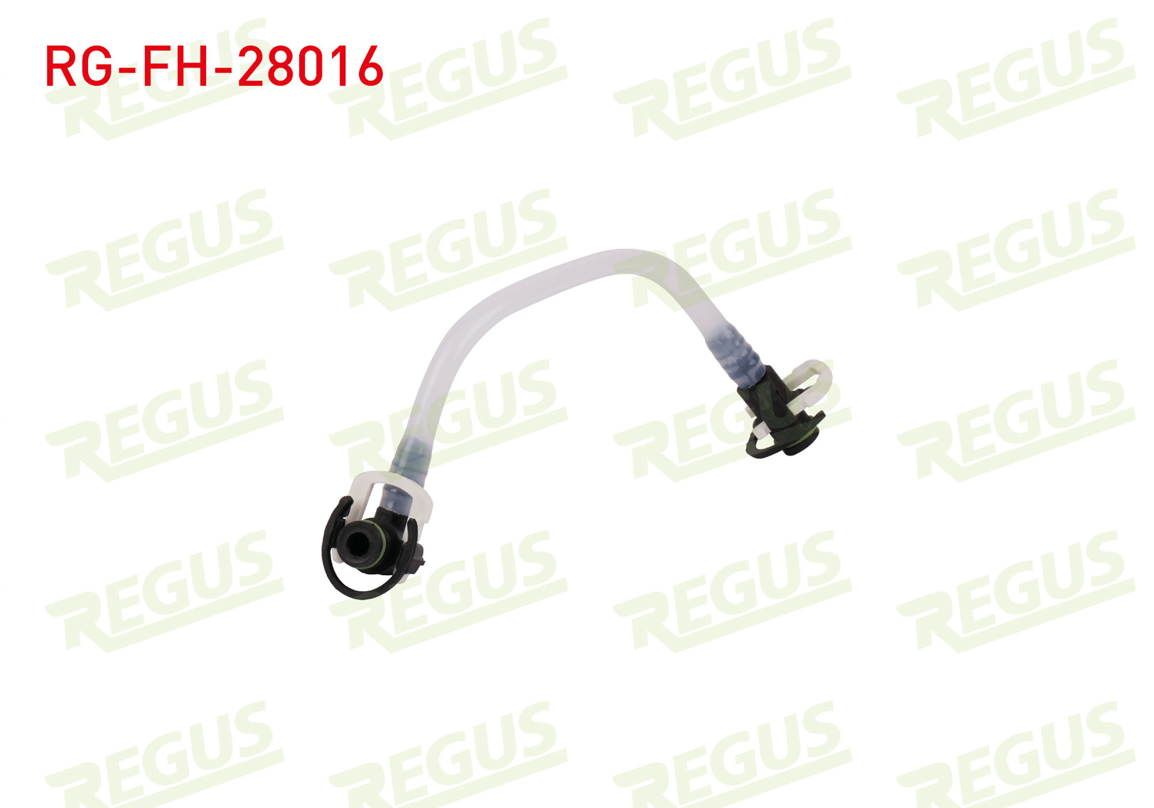 REGUS 