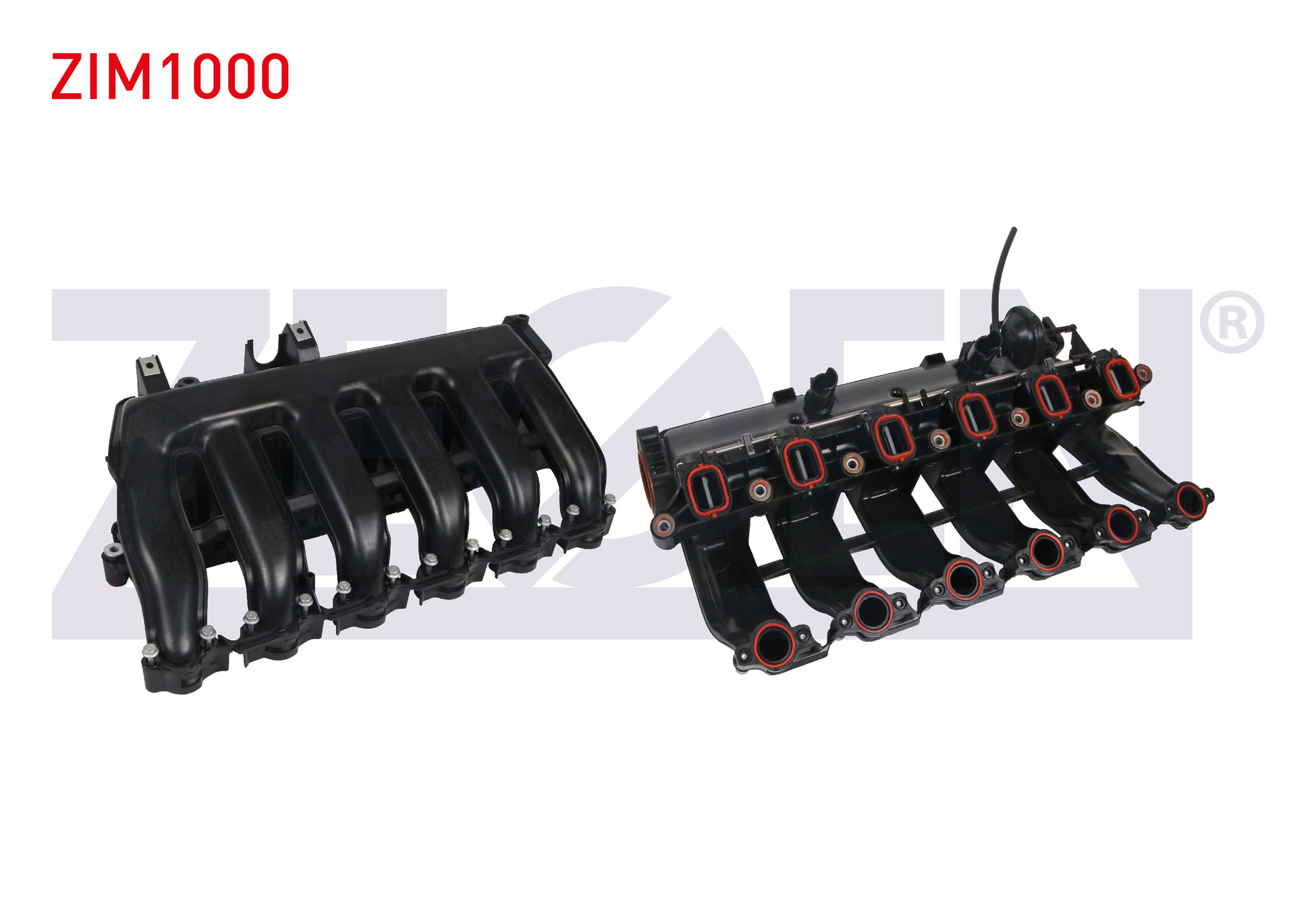 ZEGEN 503 297