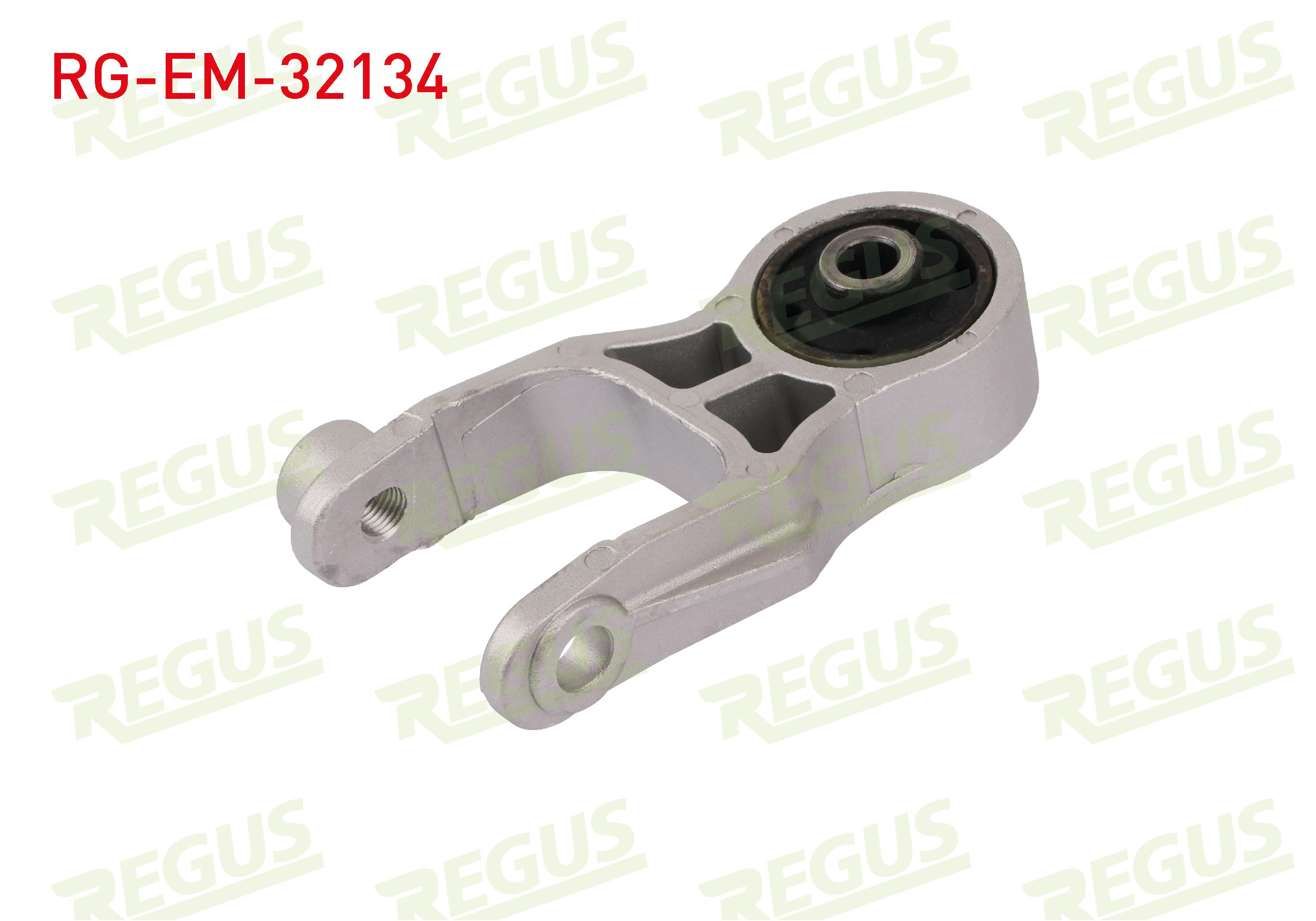 REGUS 61-11388