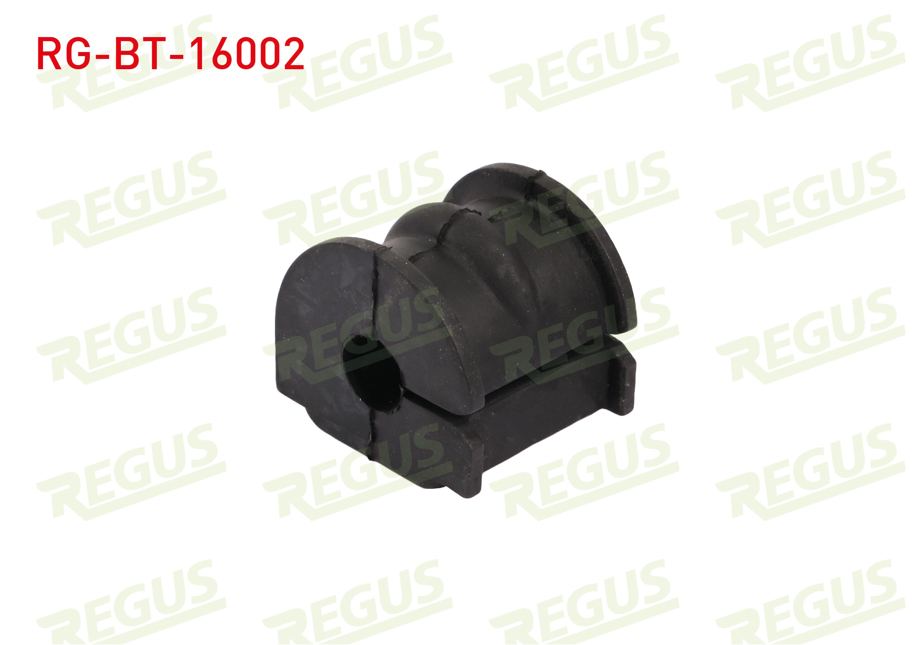 REGUS 100738