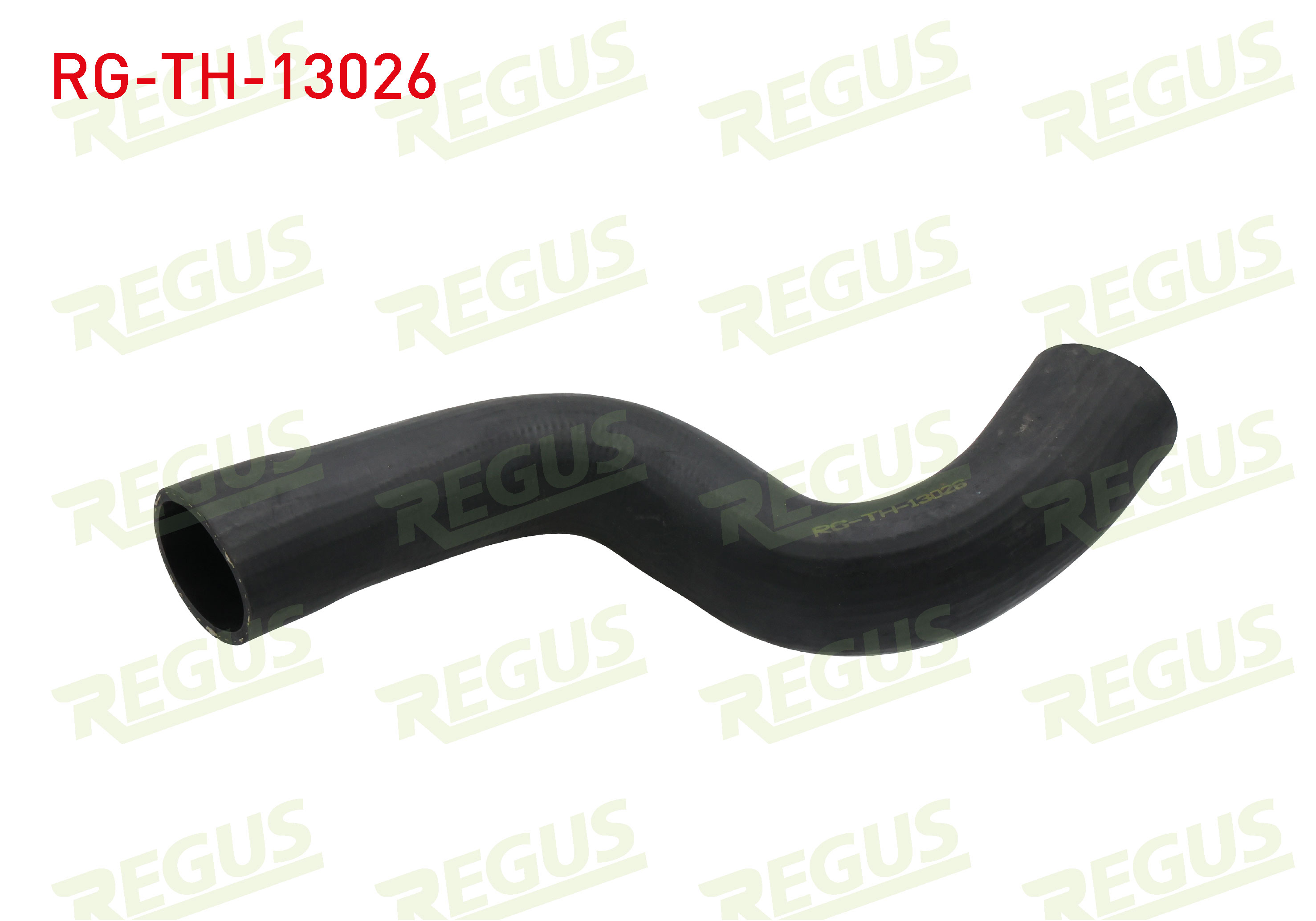 REGUS 27173