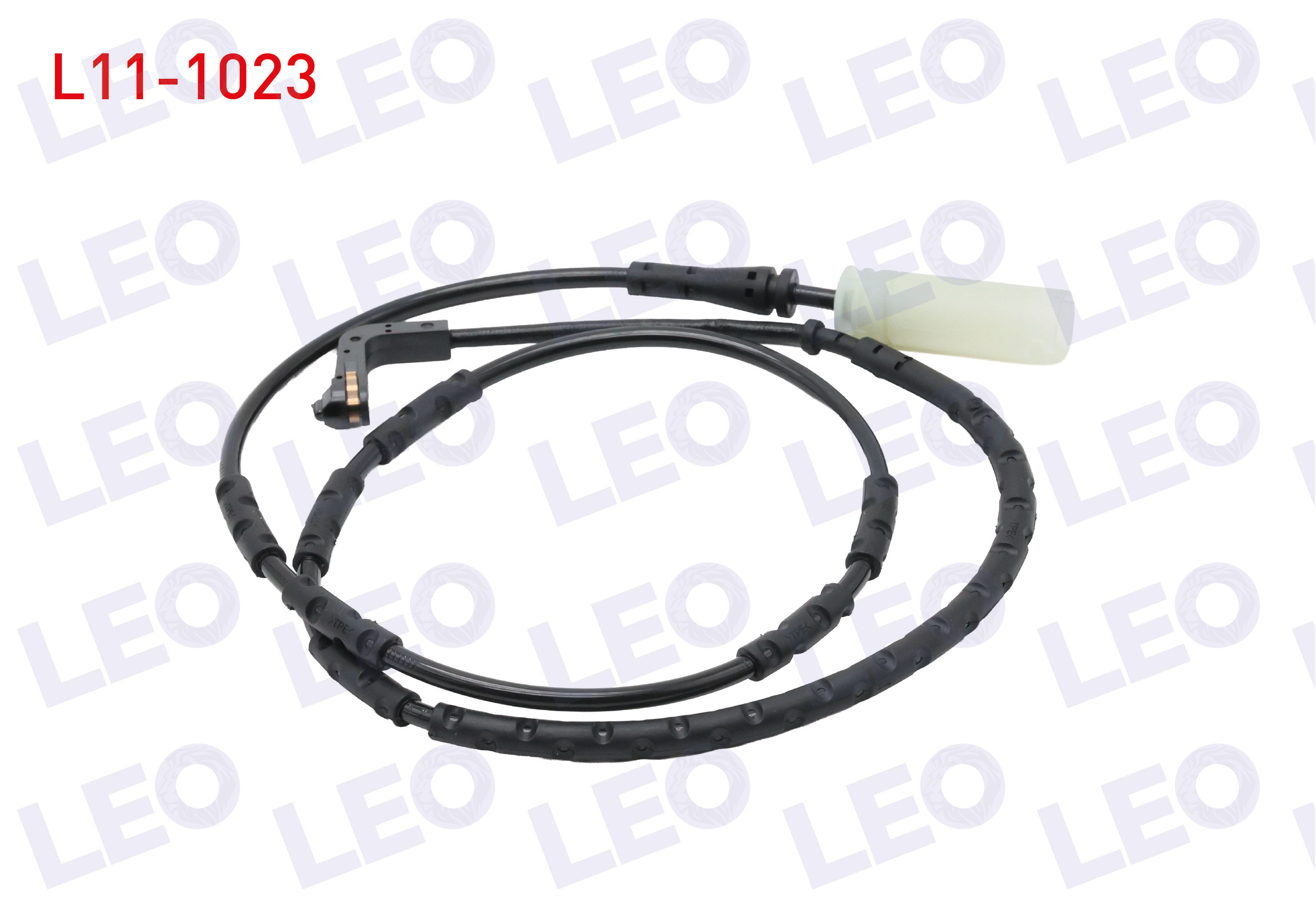 LEO 