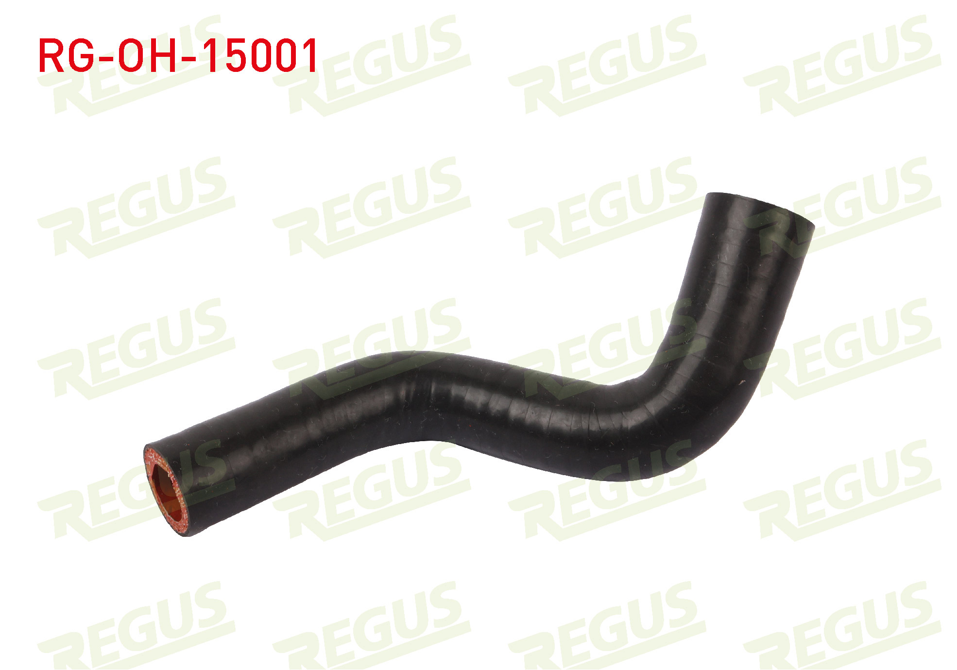 REGUS 17496