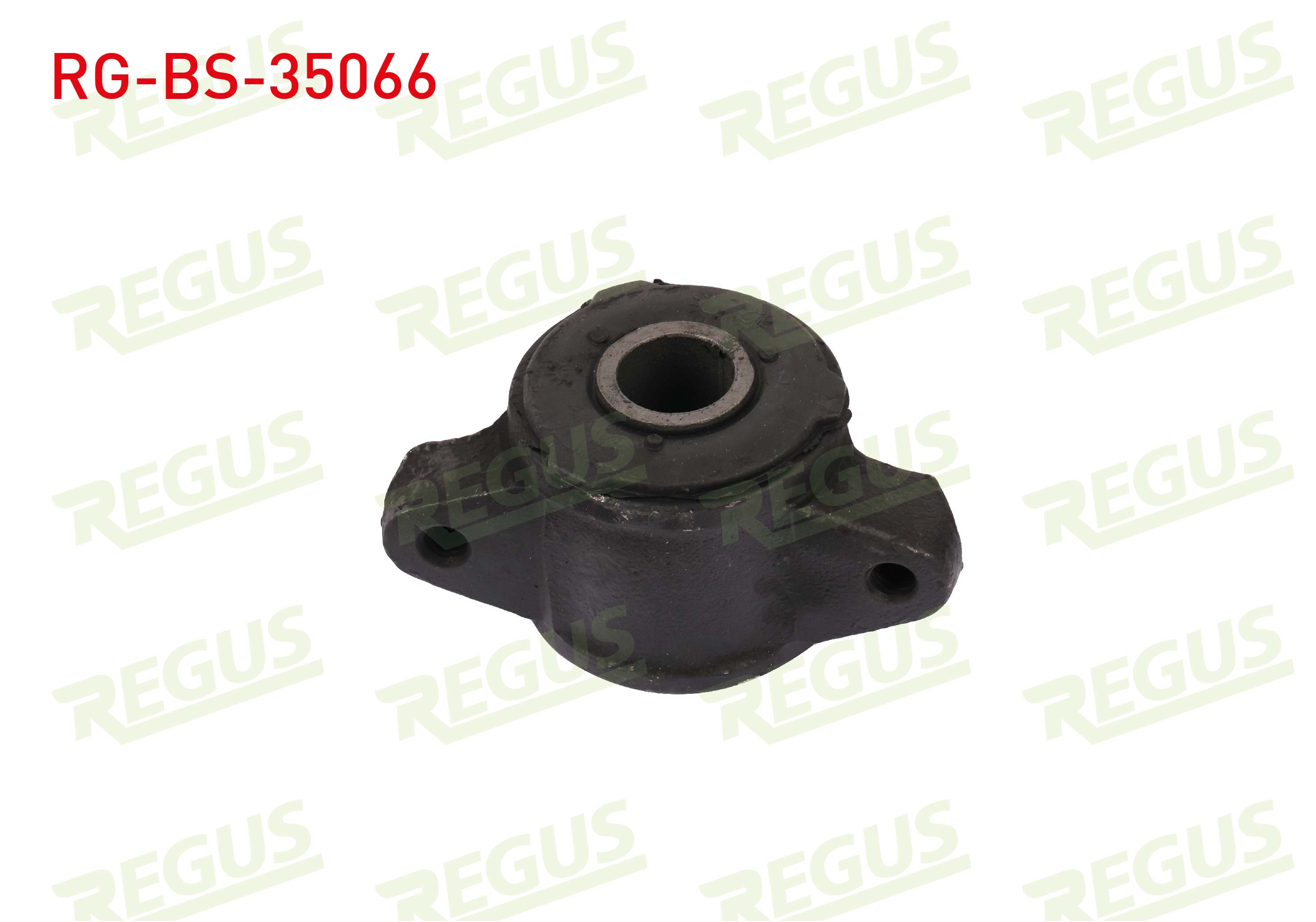 REGUS 27181