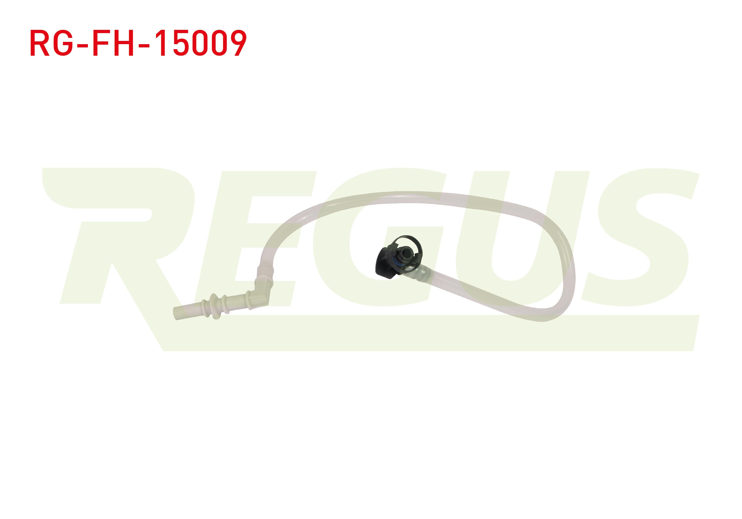 REGUS 