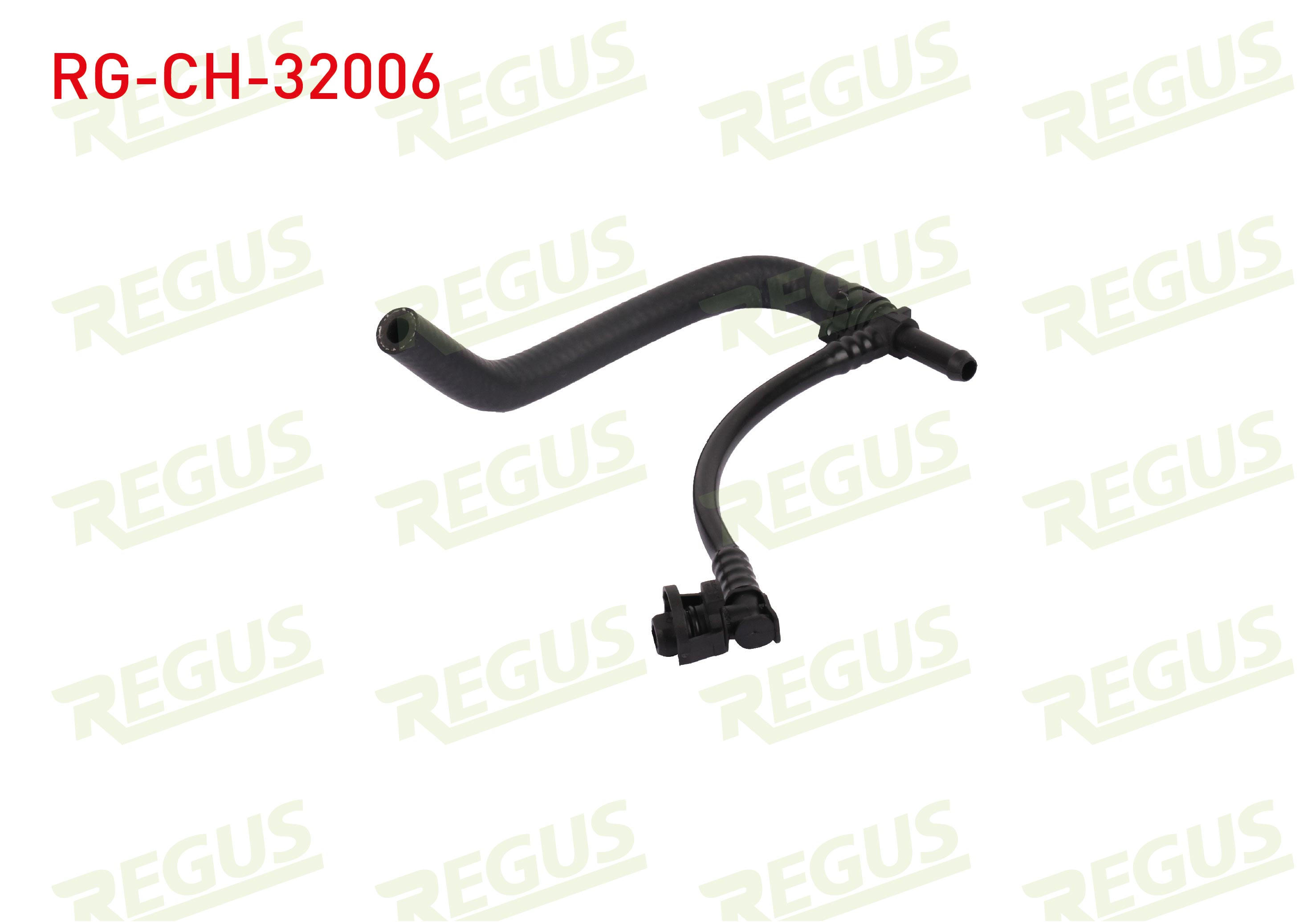 REGUS 21209