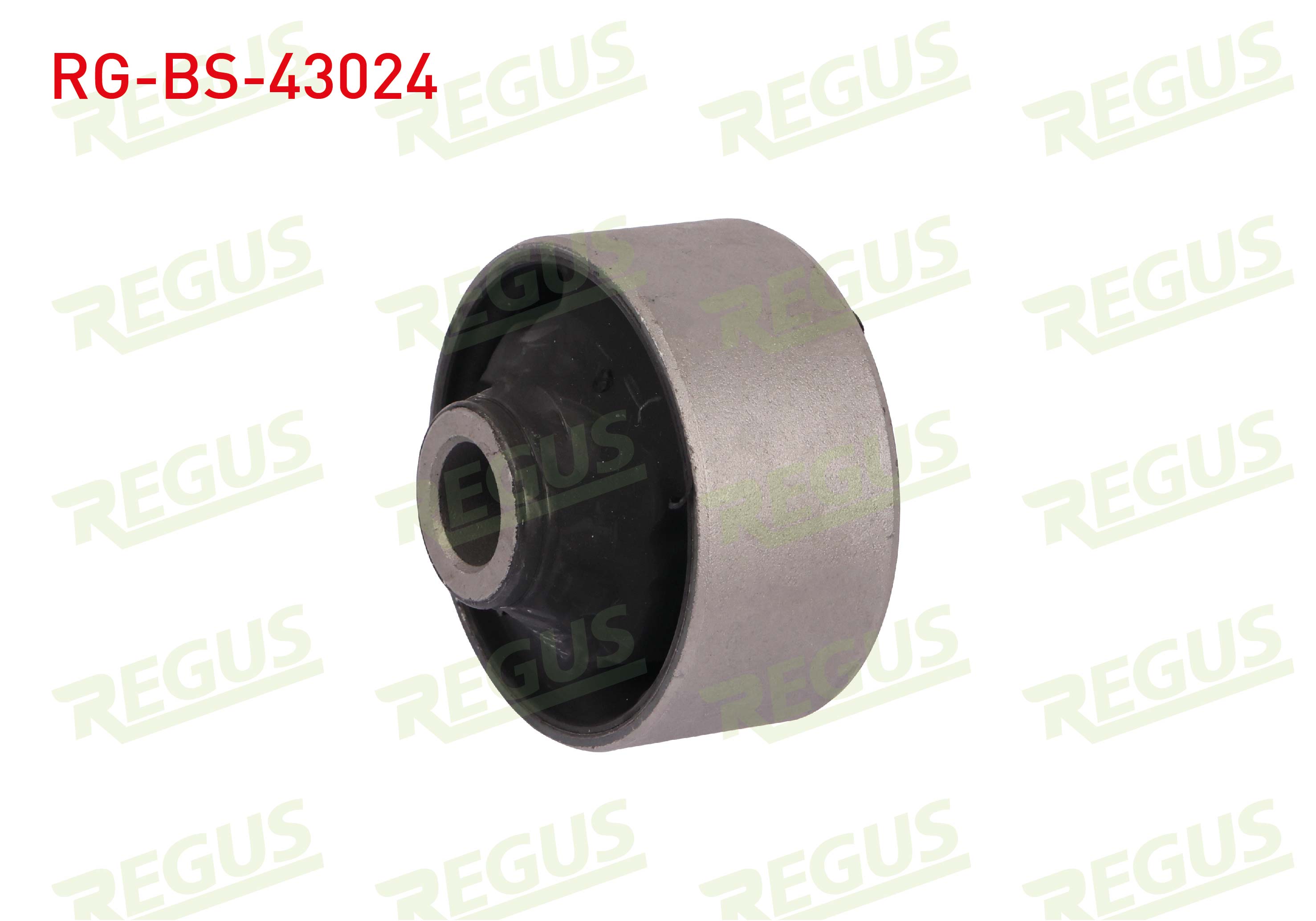 REGUS 57-08562