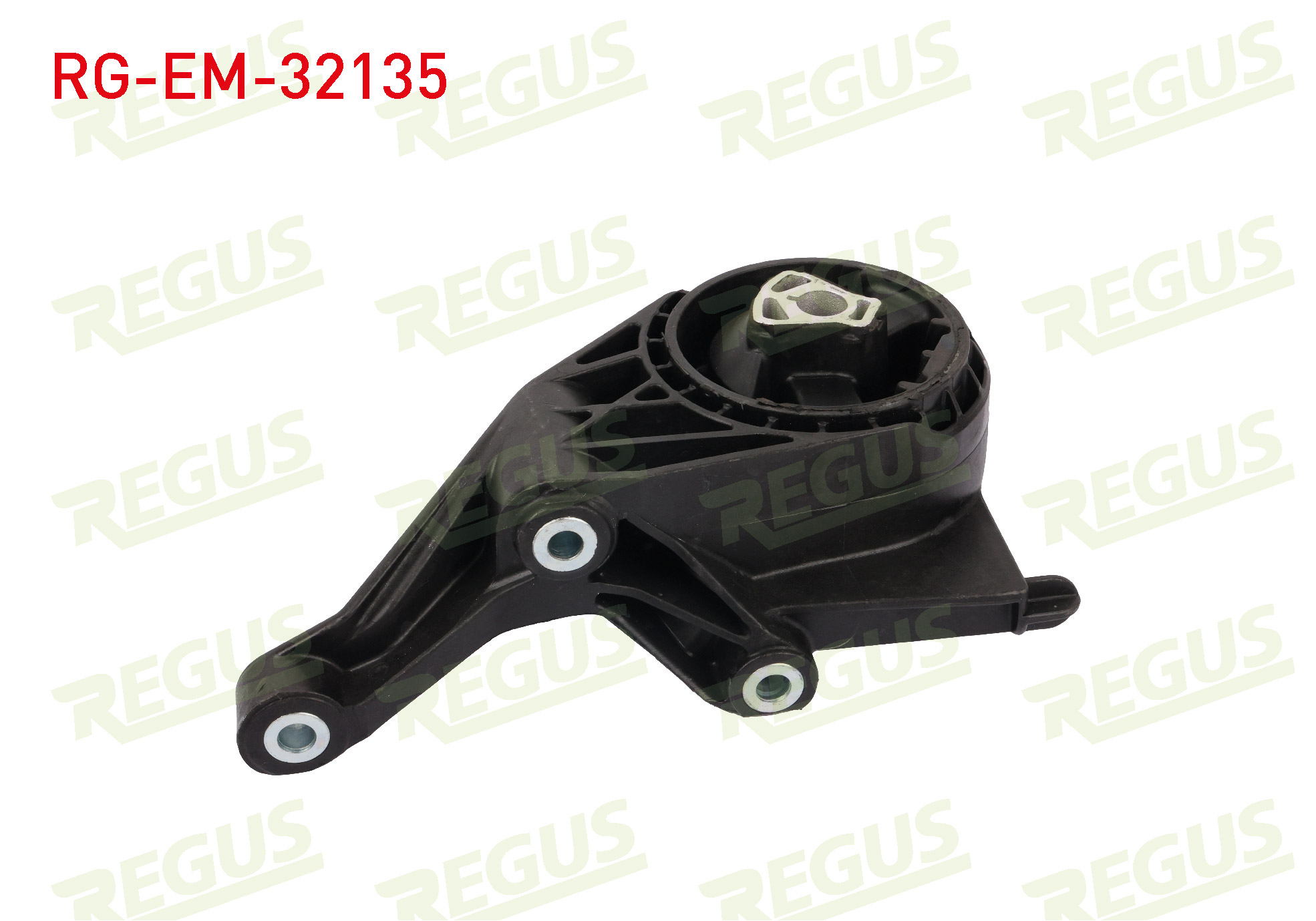 REGUS 61-11389