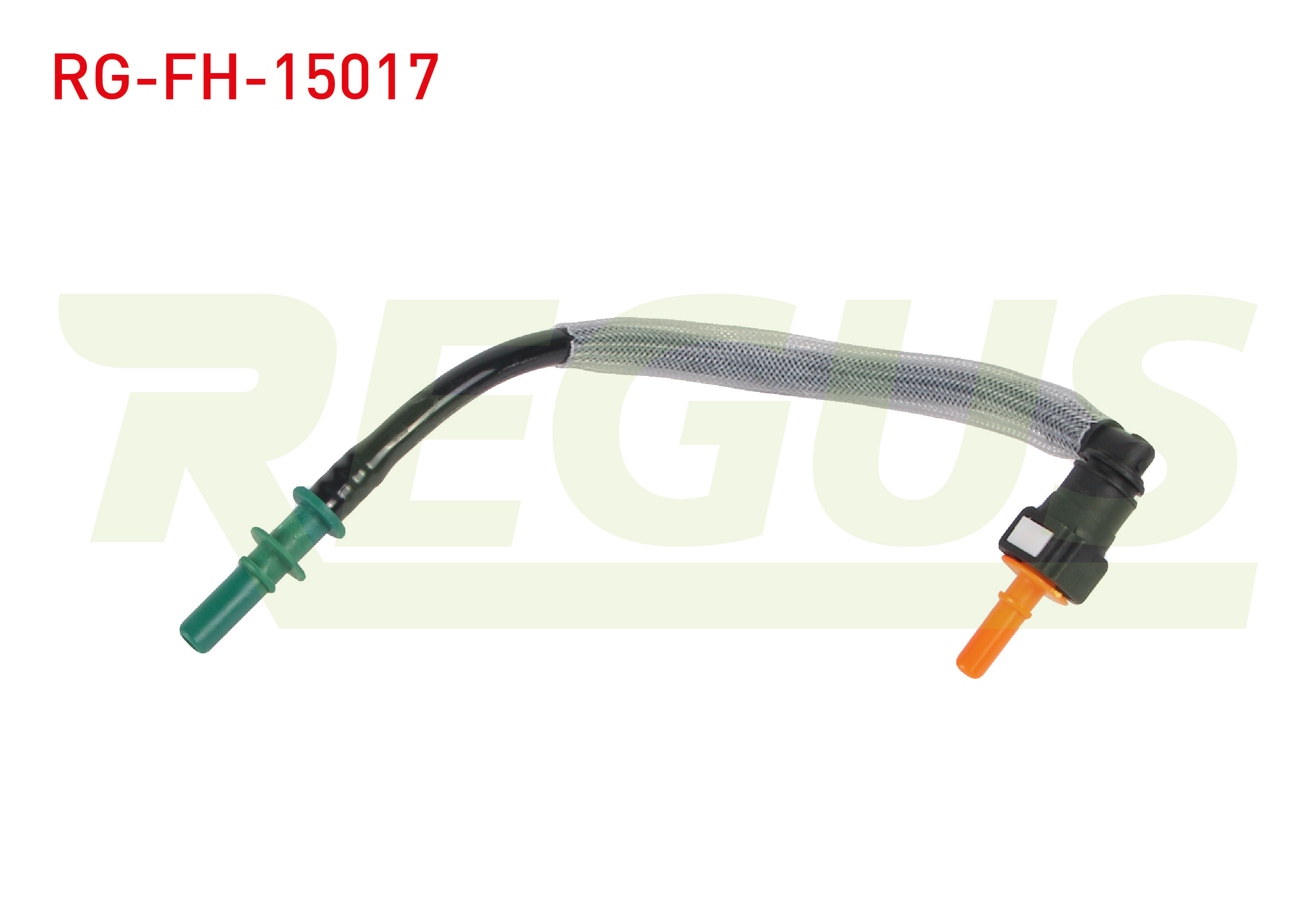 REGUS 17343