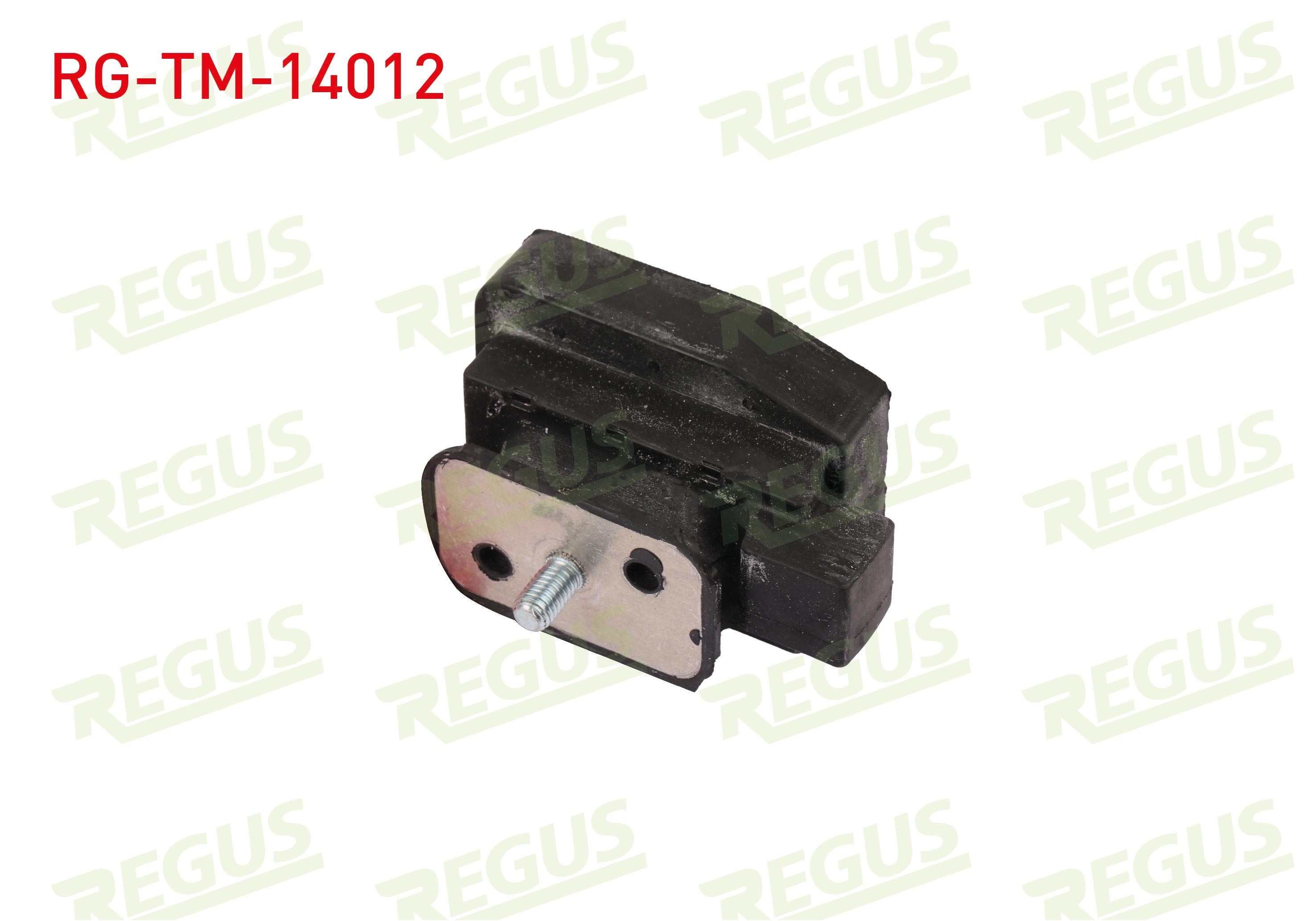 REGUS 62-10929