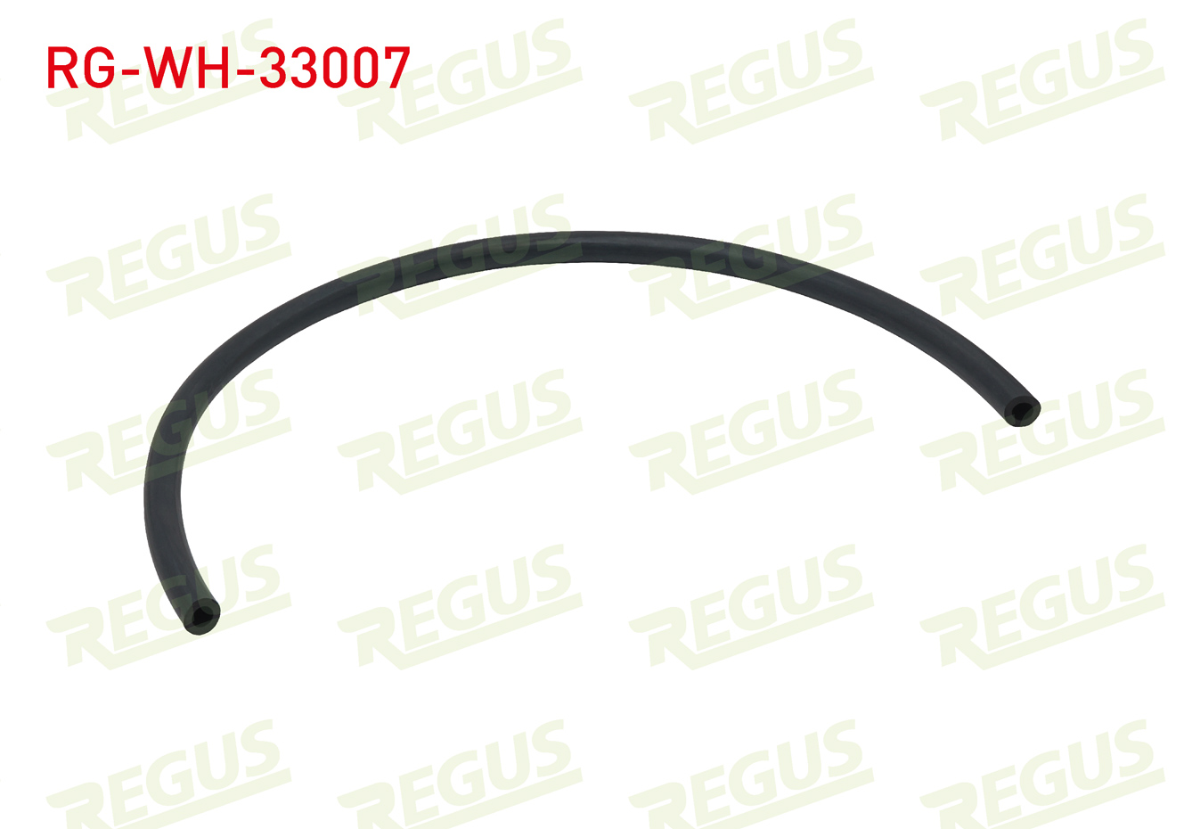 REGUS 11231