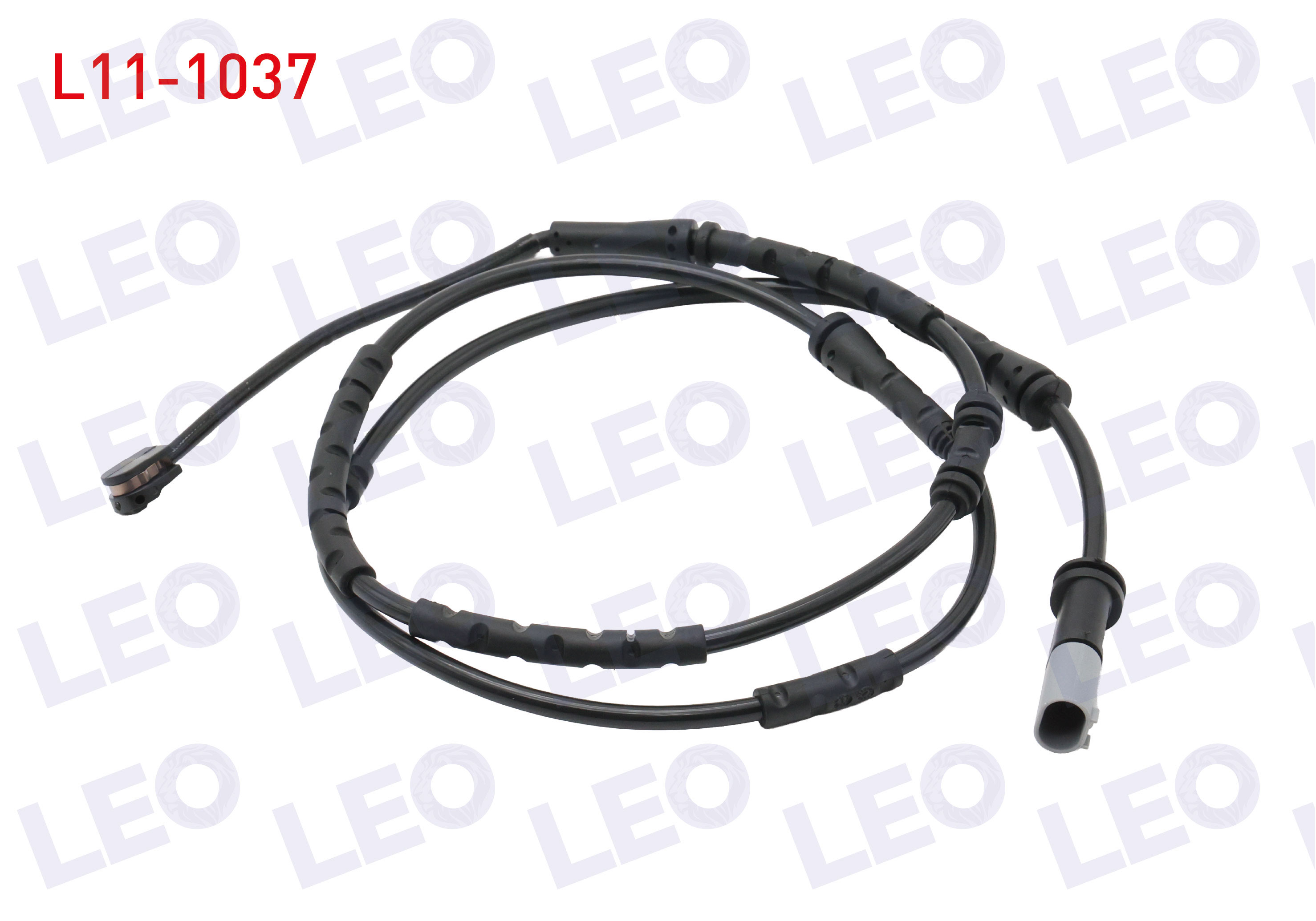LEO 