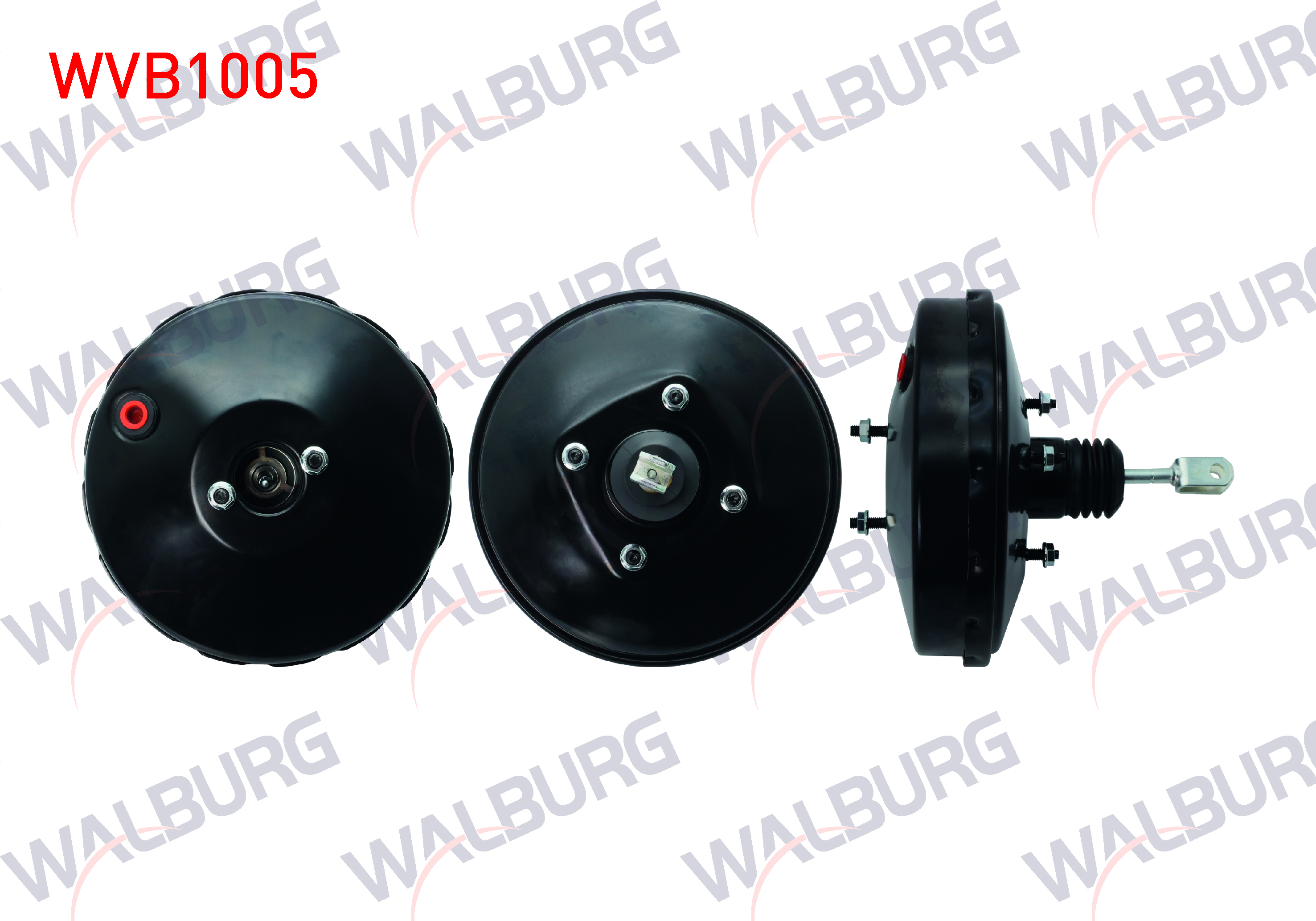 WALBURG 0 204 125 807