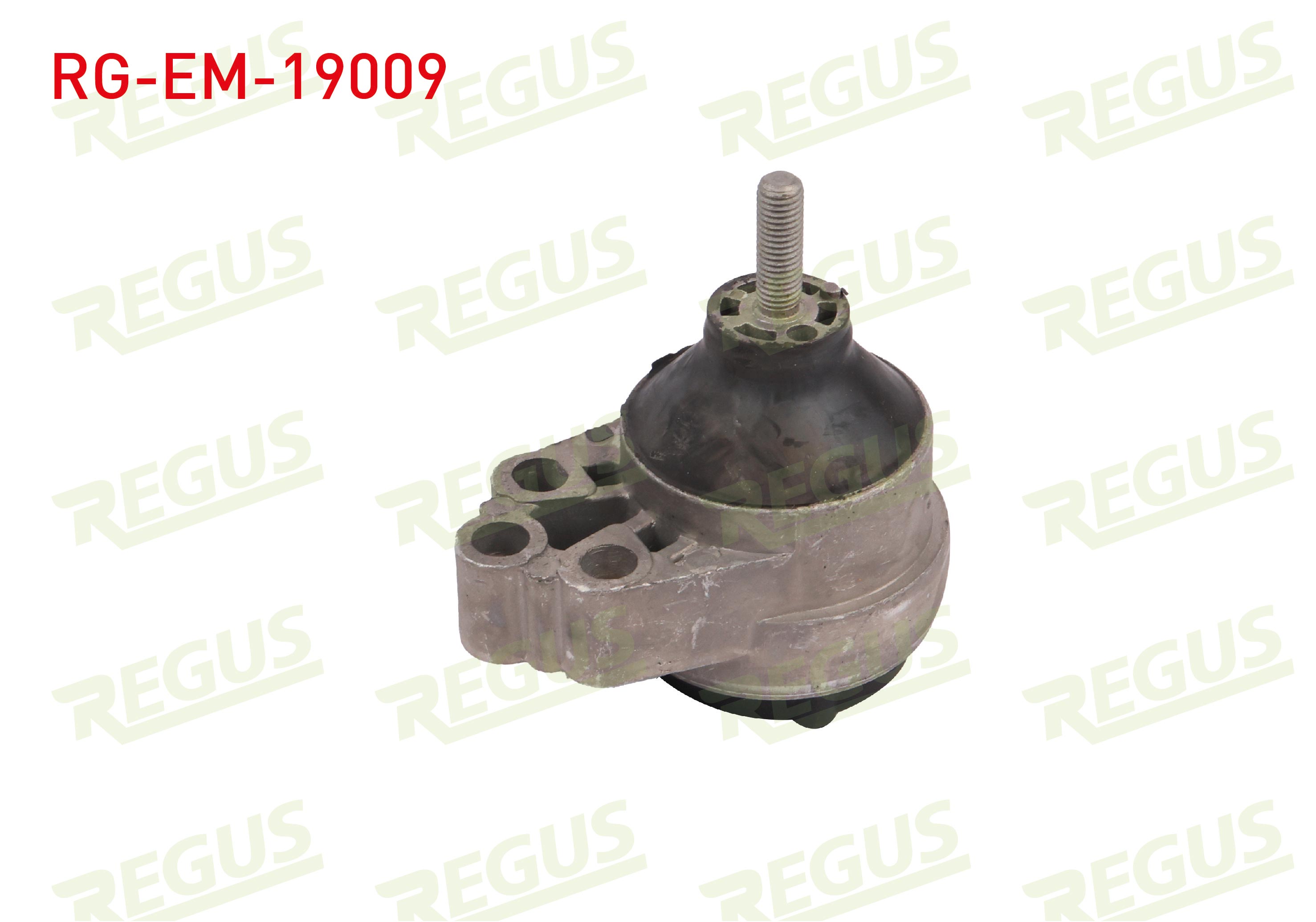 REGUS  | MOTOR TAKOZU ON SAG FORD FOCUS I (DAW,DBW) 1.6i 16v 1998-2004