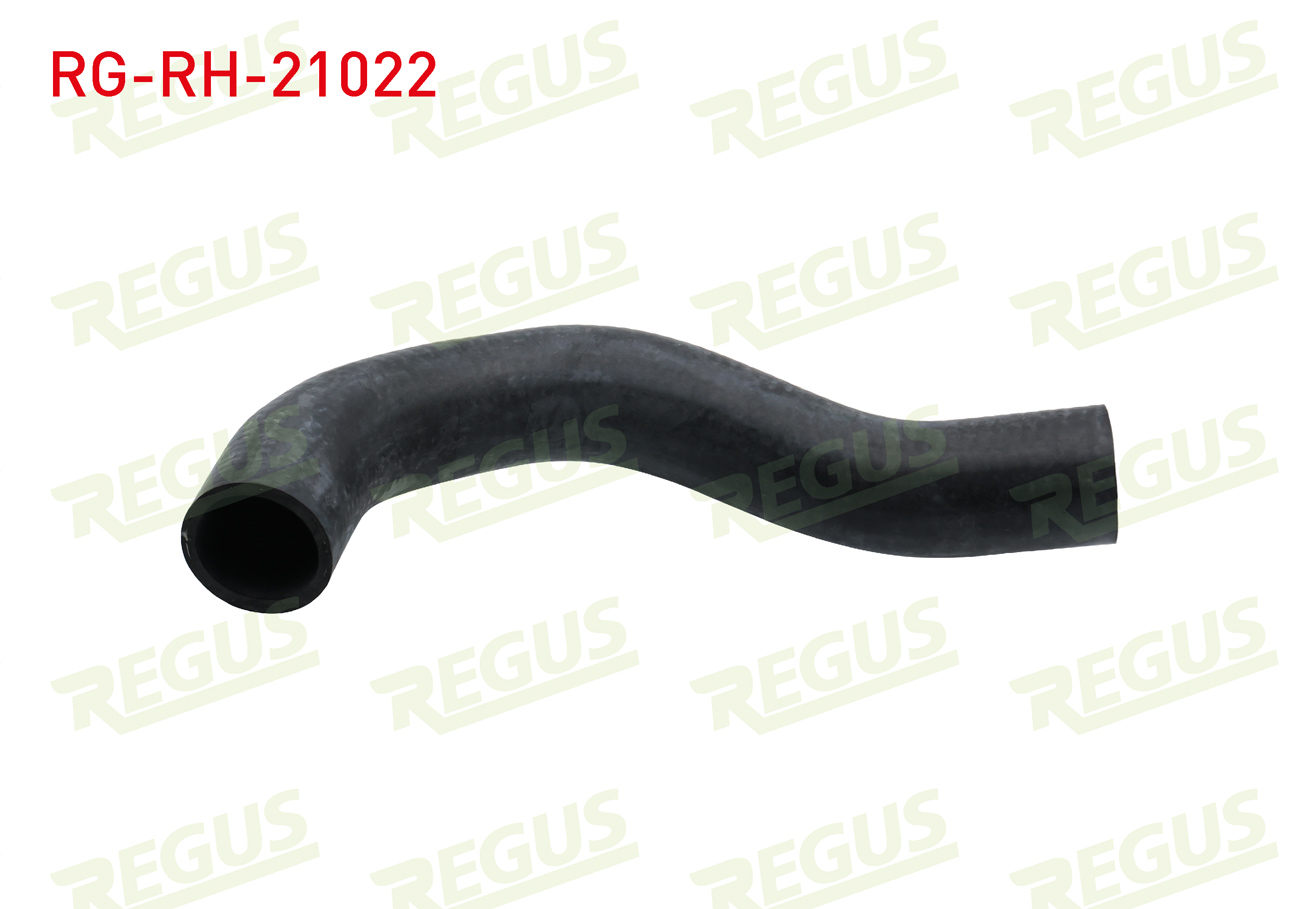 REGUS 22831