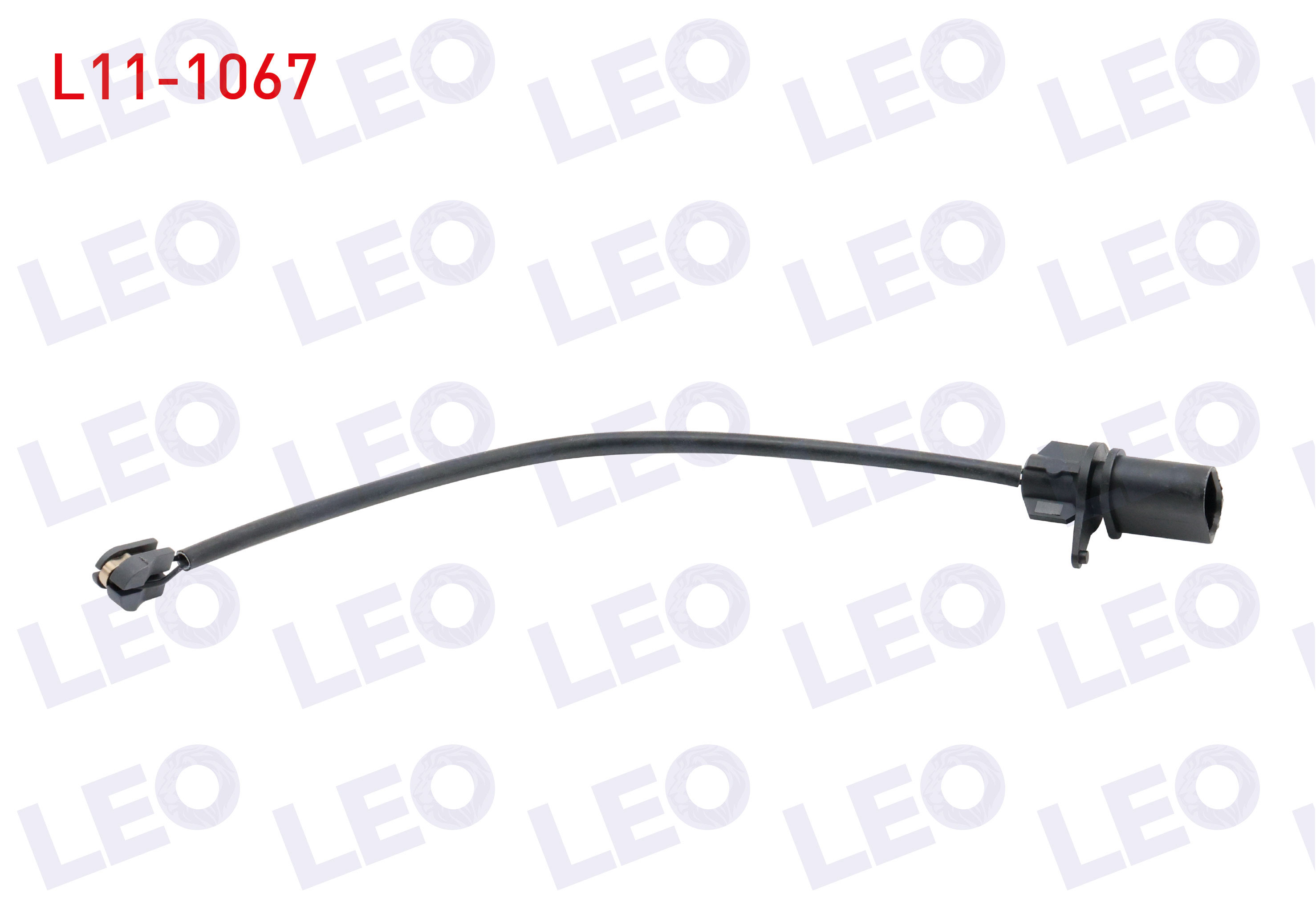 LEO 