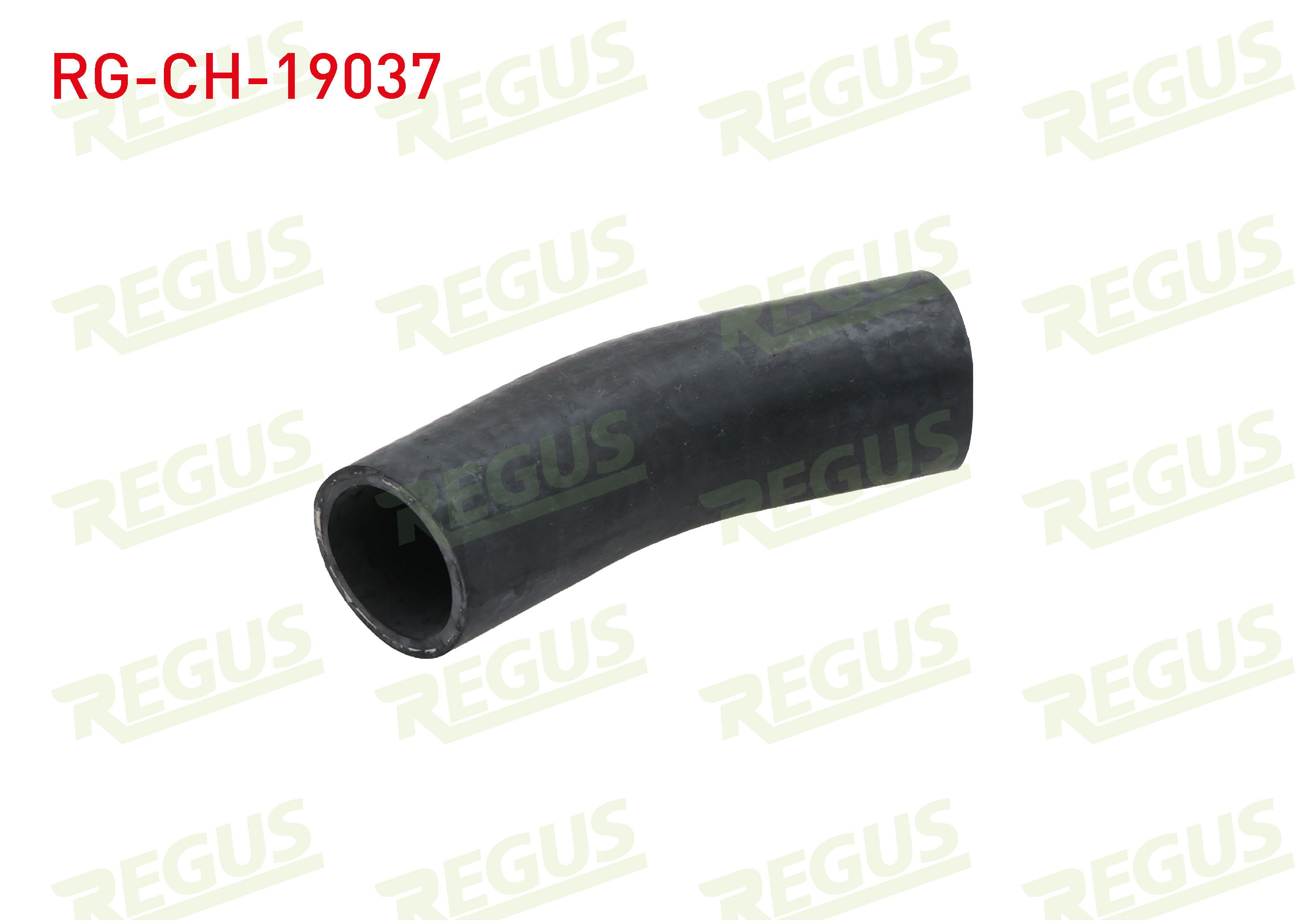 REGUS 19626