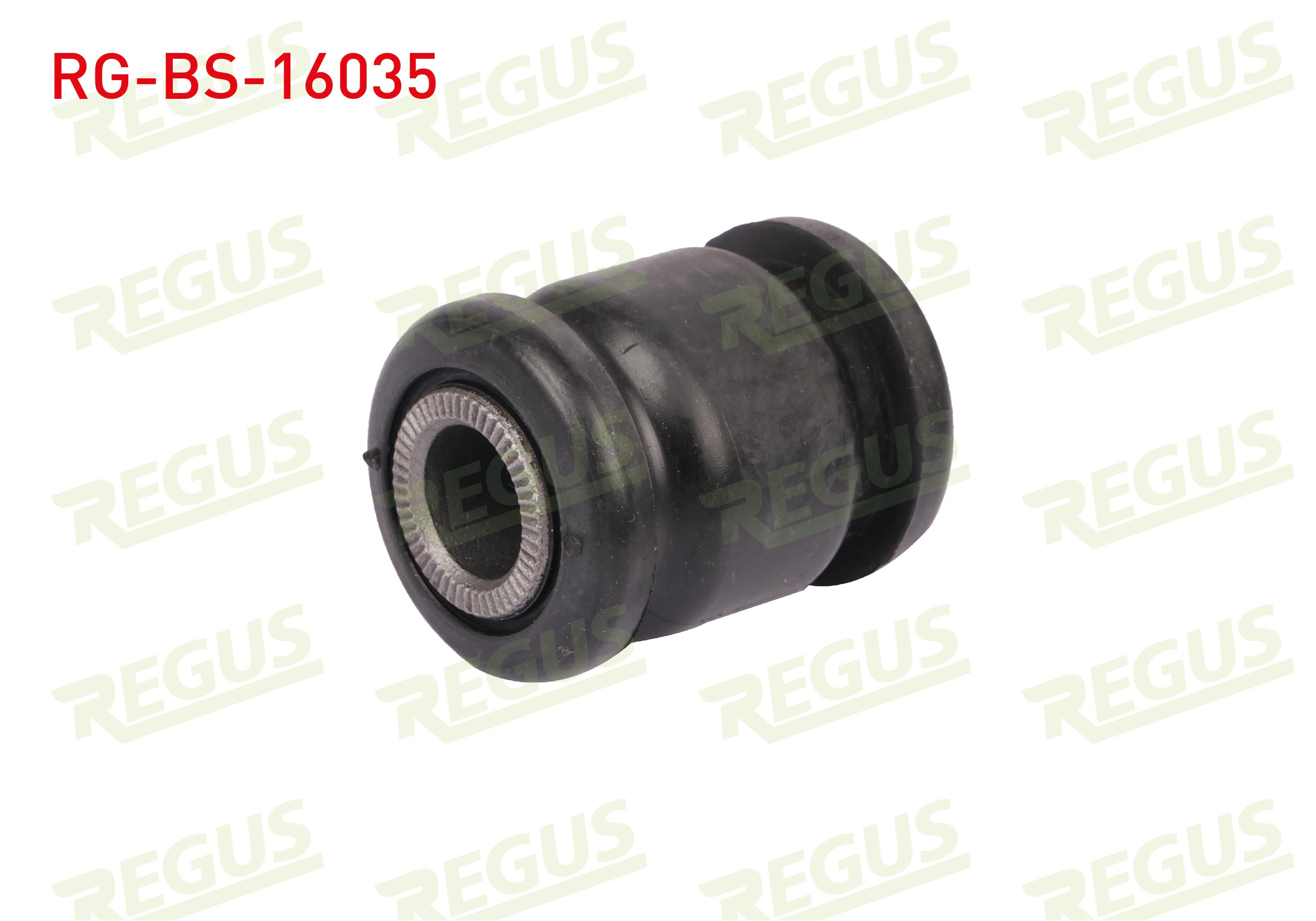 REGUS 62-13909