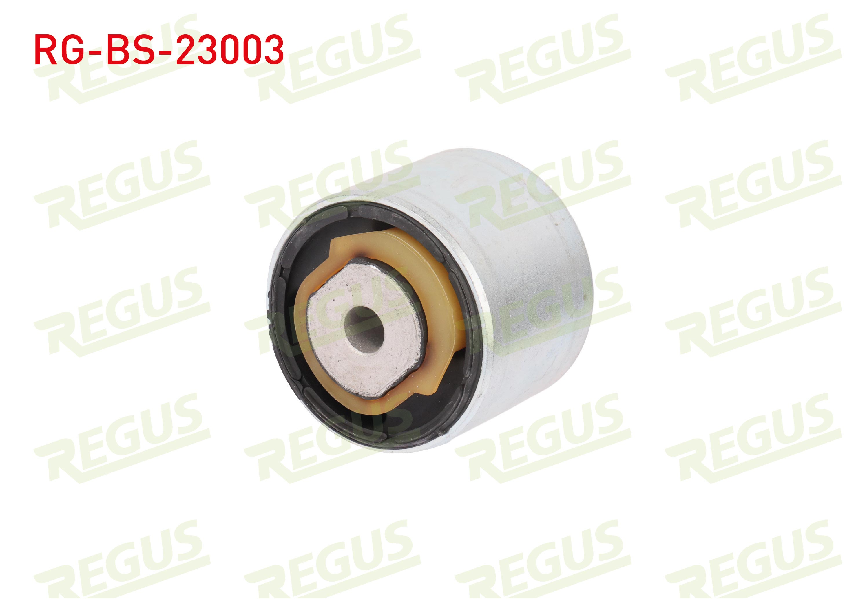 REGUS 