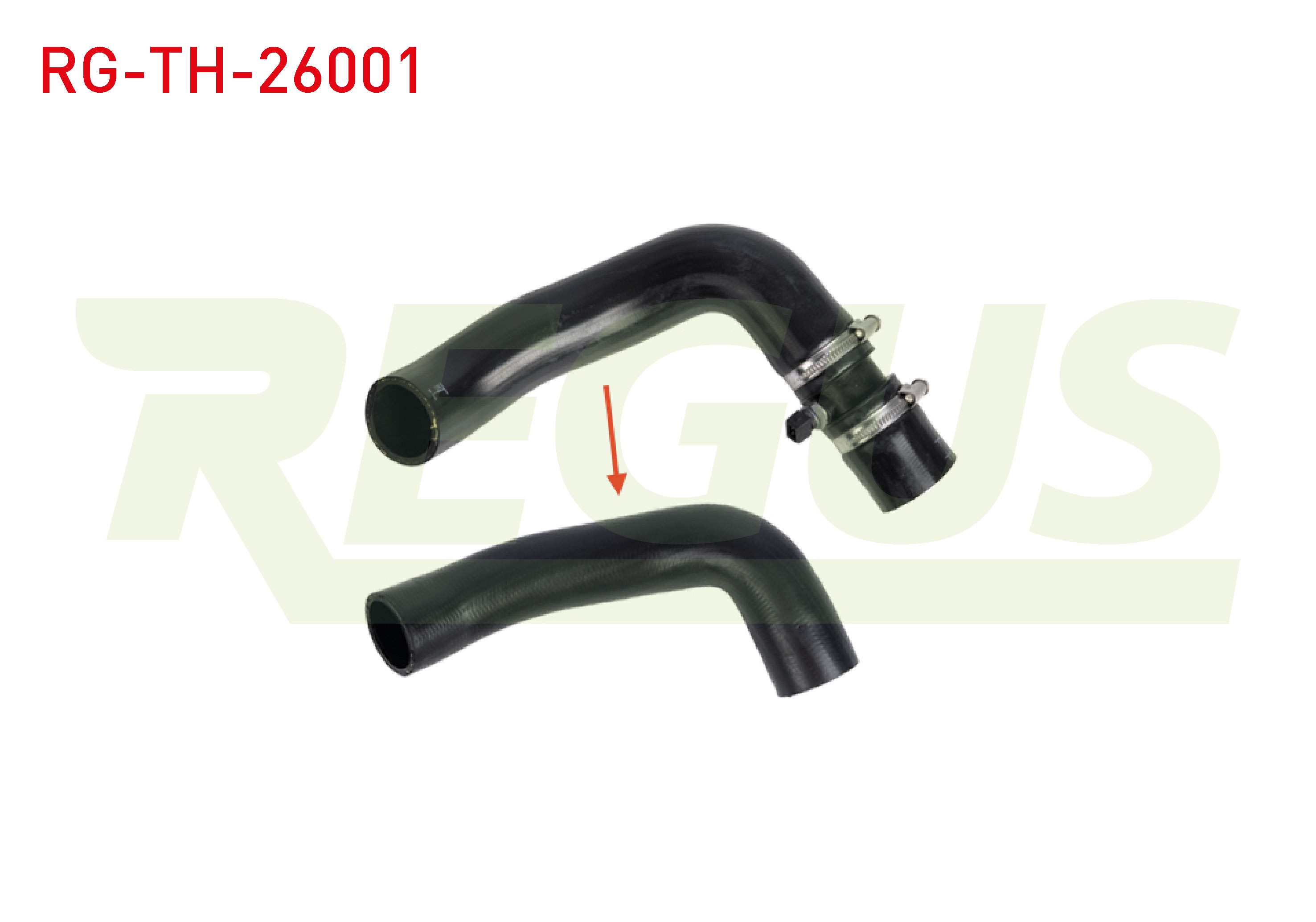 REGUS 34863