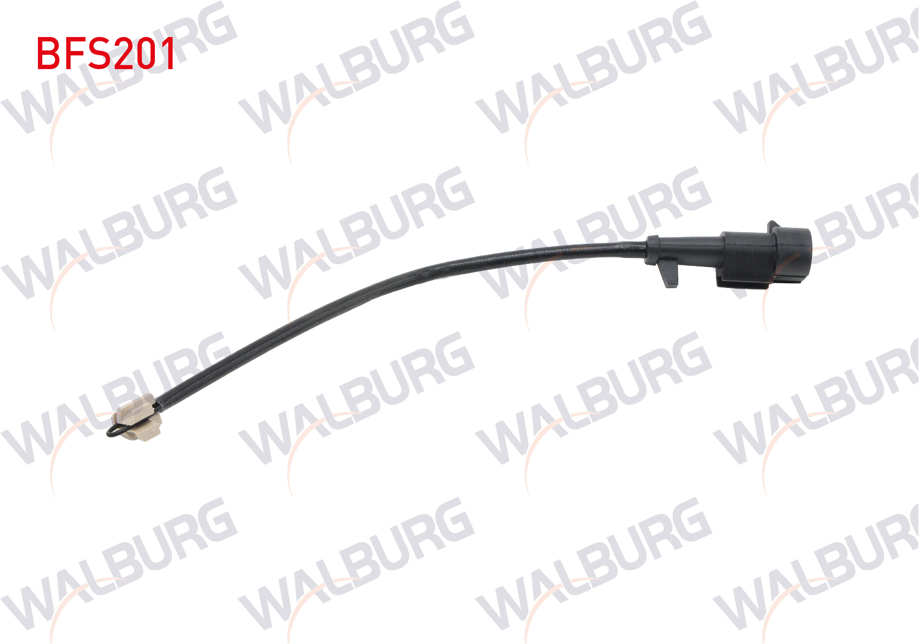 WALBURG 