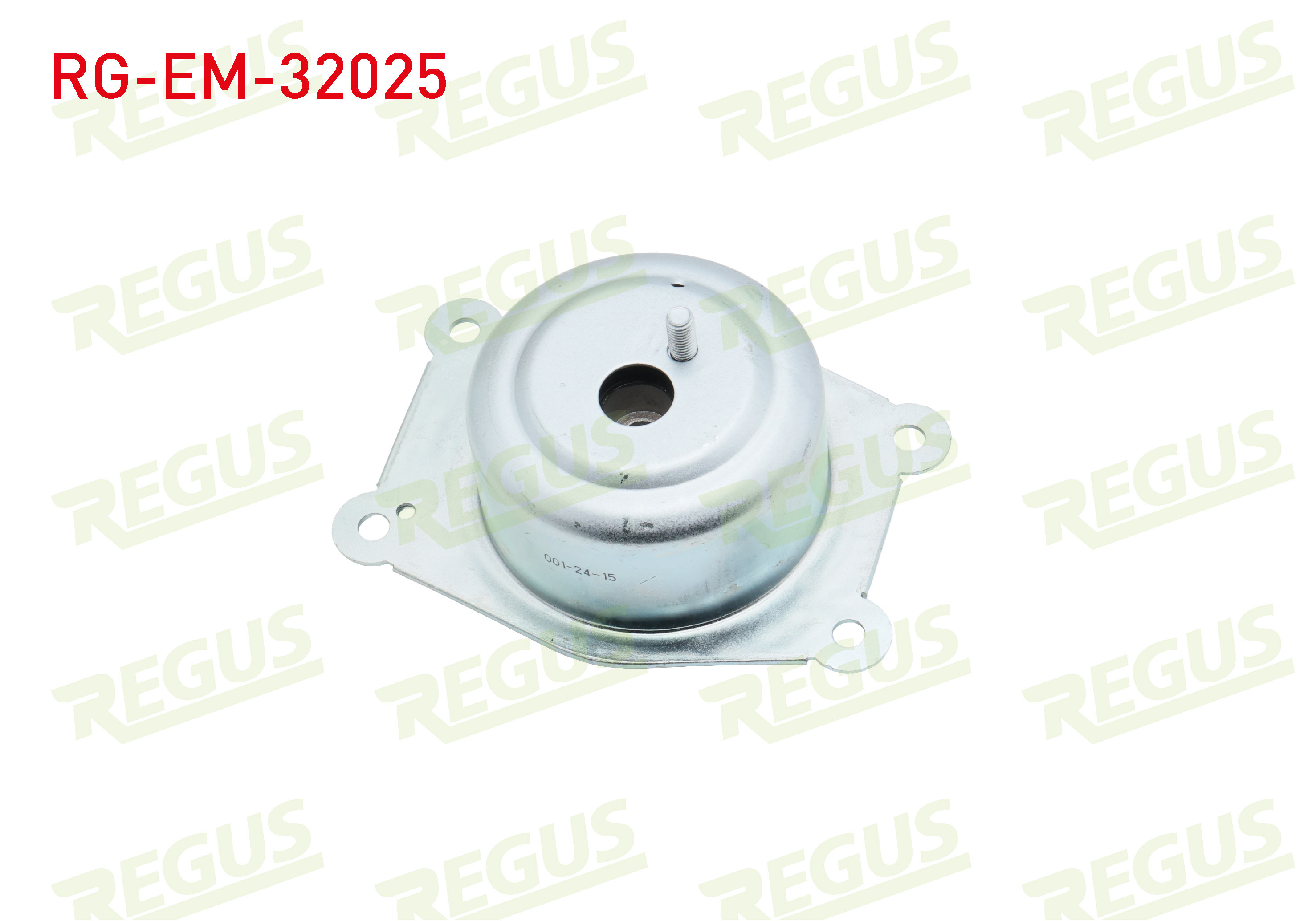 REGUS 30105