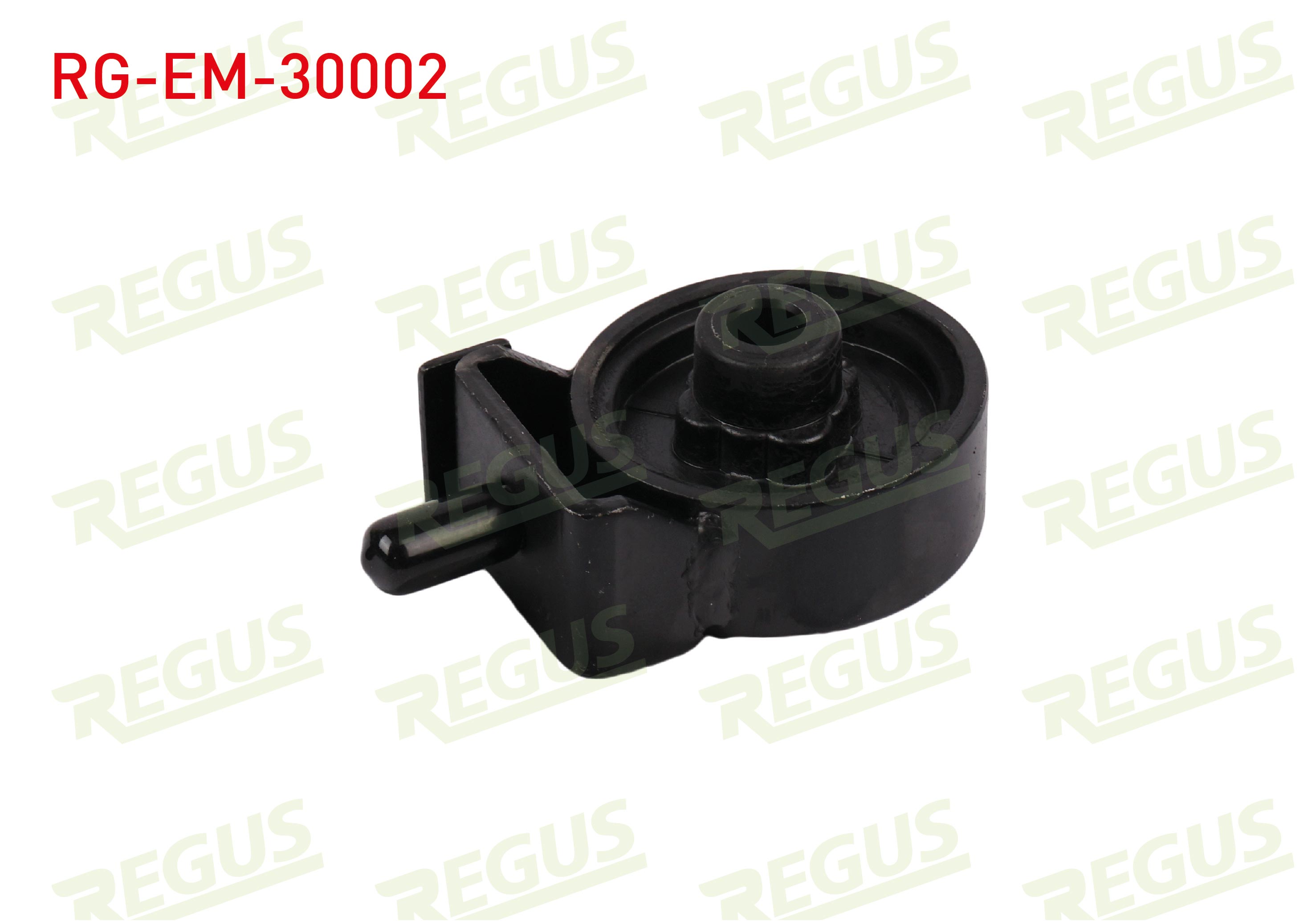 REGUS 61-06892