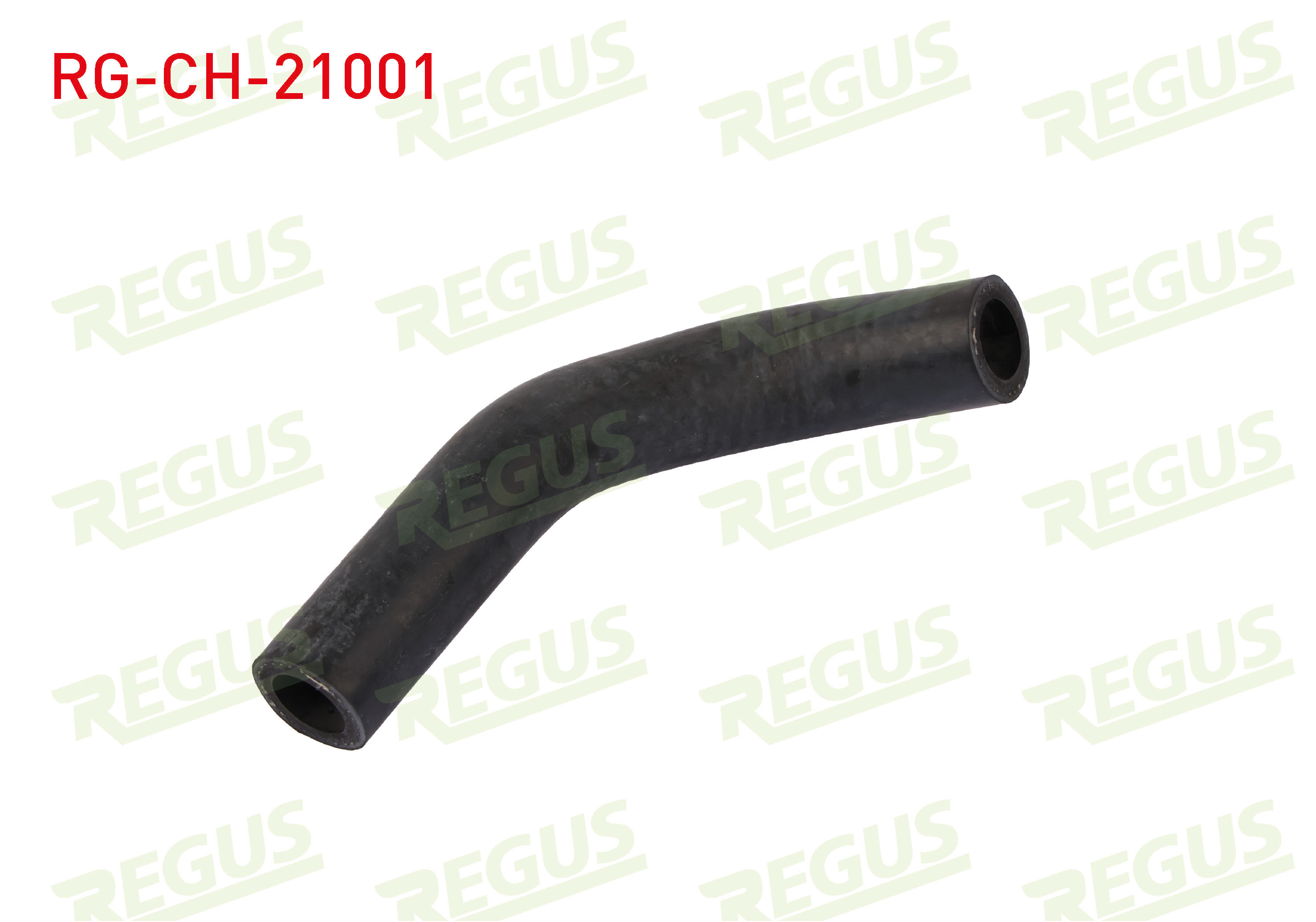 REGUS 22815
