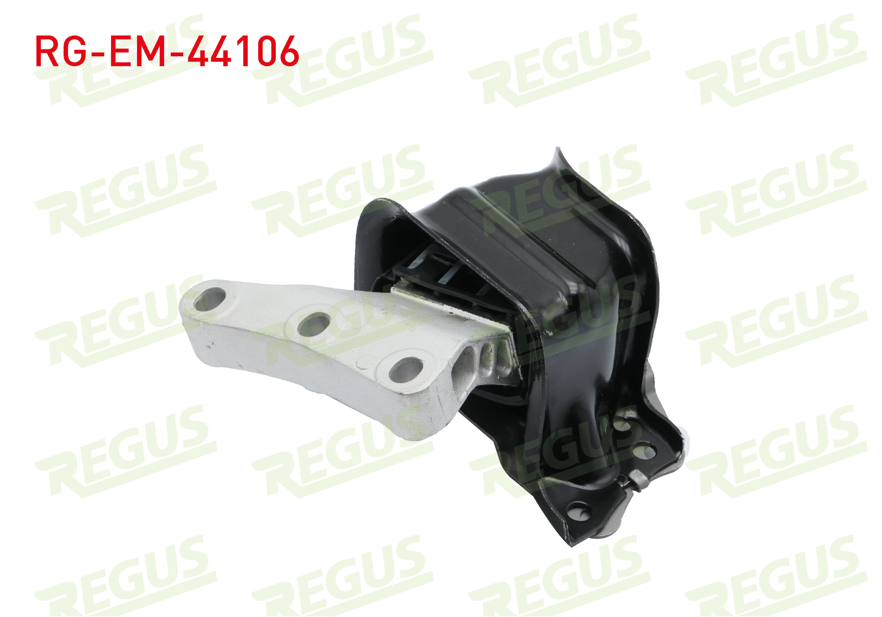 REGUS 