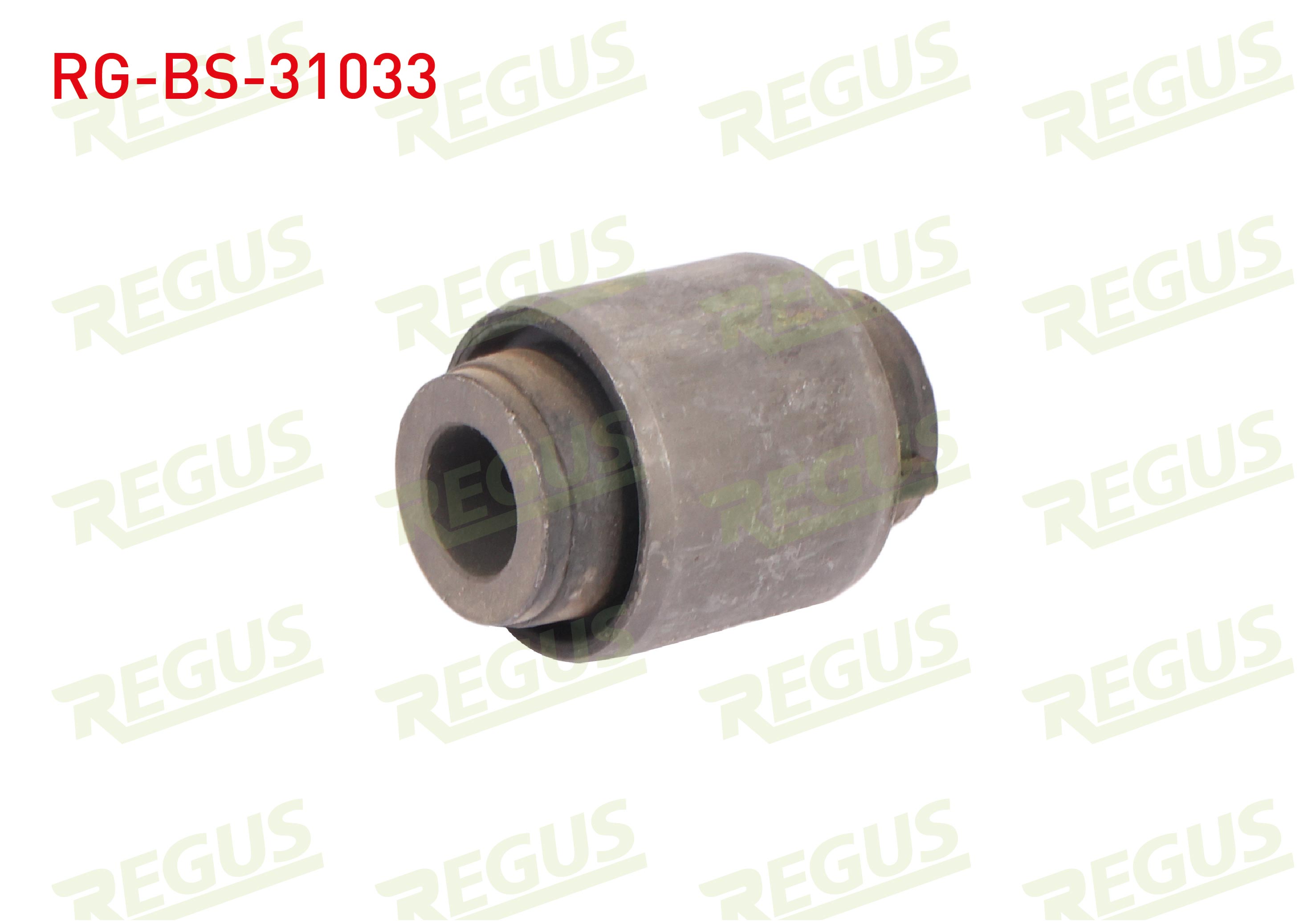 REGUS  | Z-ROT BURCU ARKA SOL-SAG NISSAN QASHQAI (J10) 1.5 DCI 2007-2014