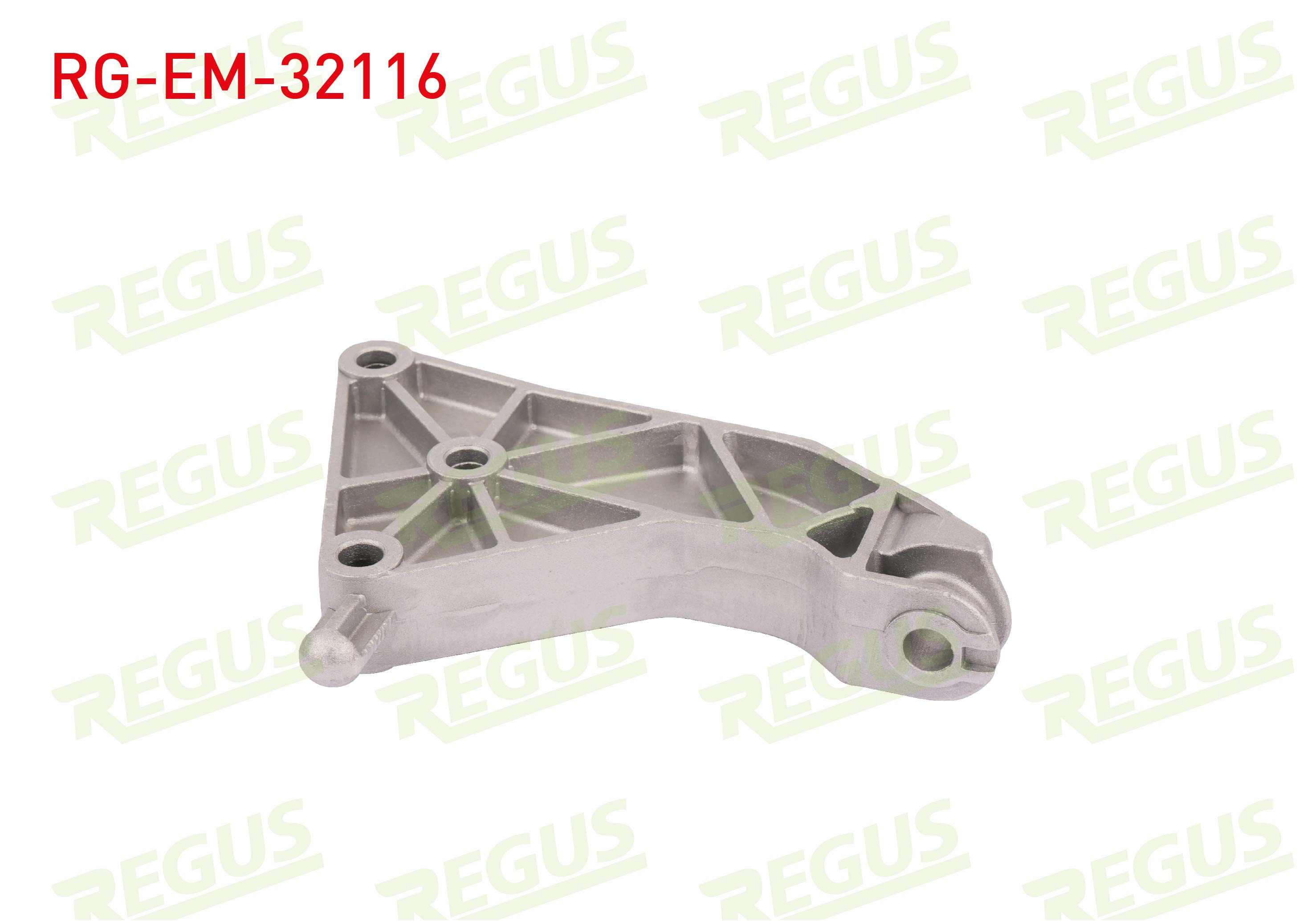 REGUS 61-10904