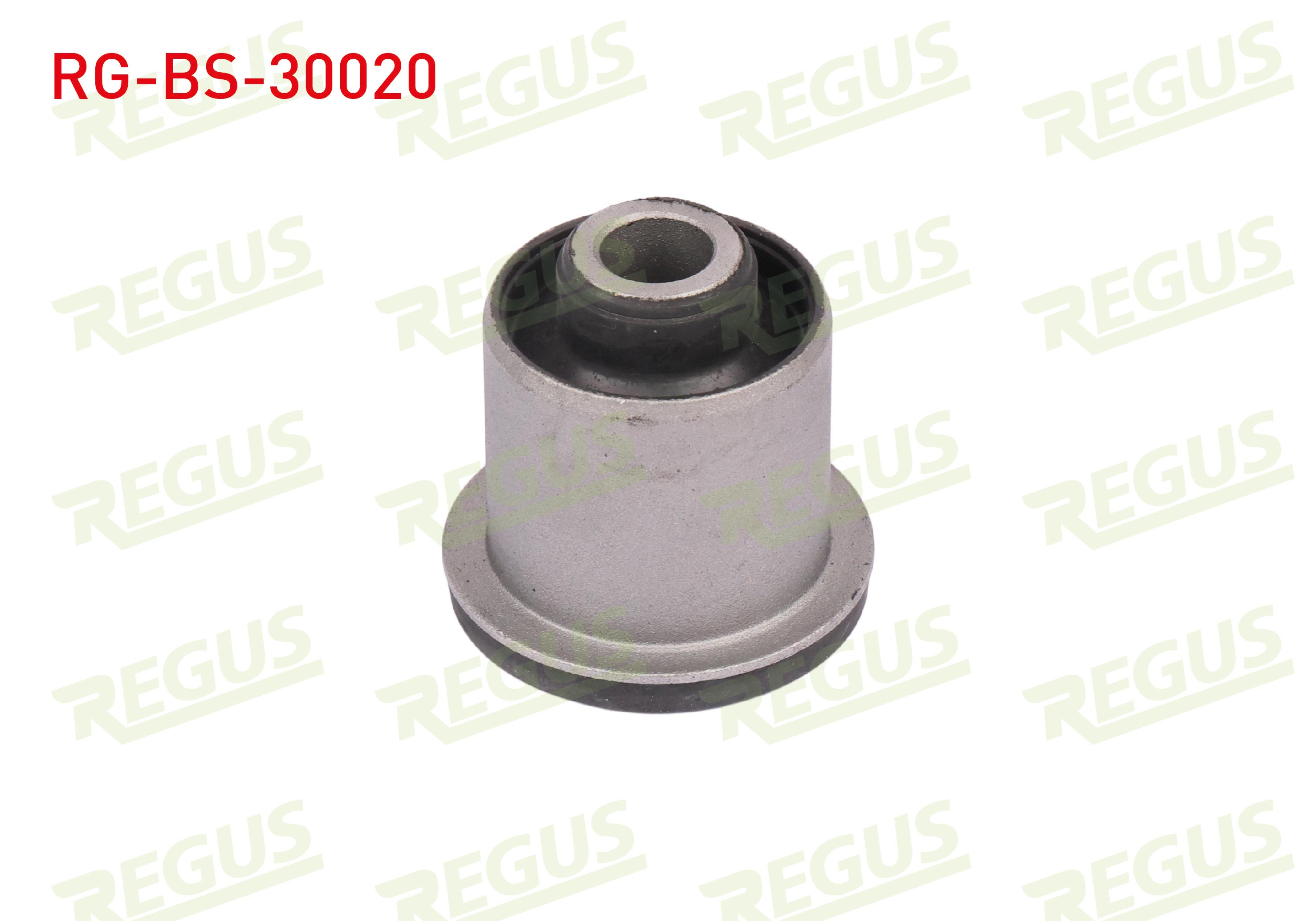 REGUS 57-11022