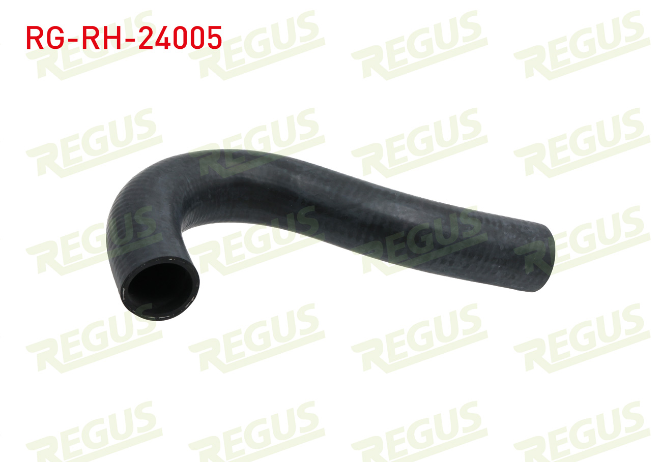 REGUS 31401