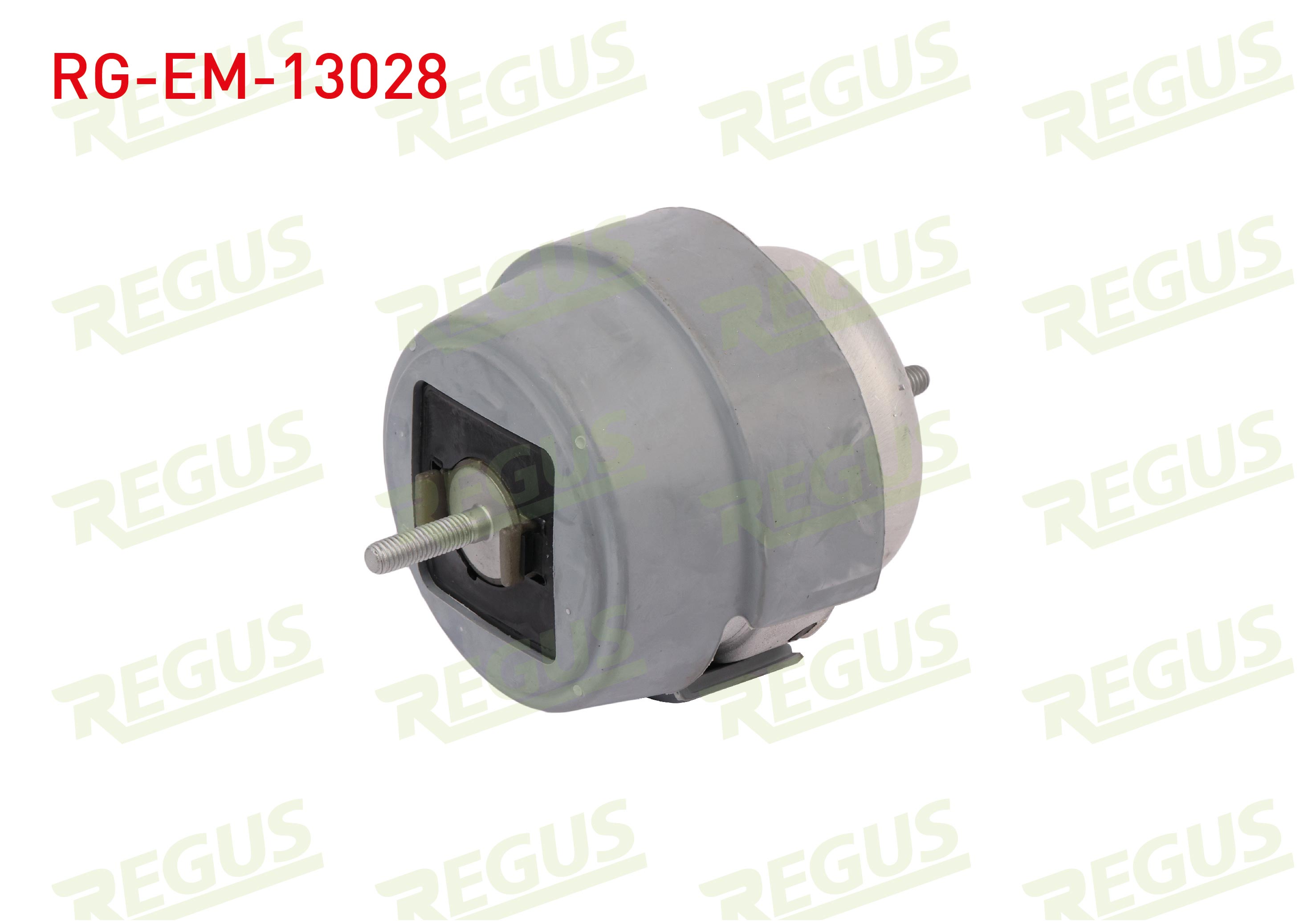 REGUS 61-10124