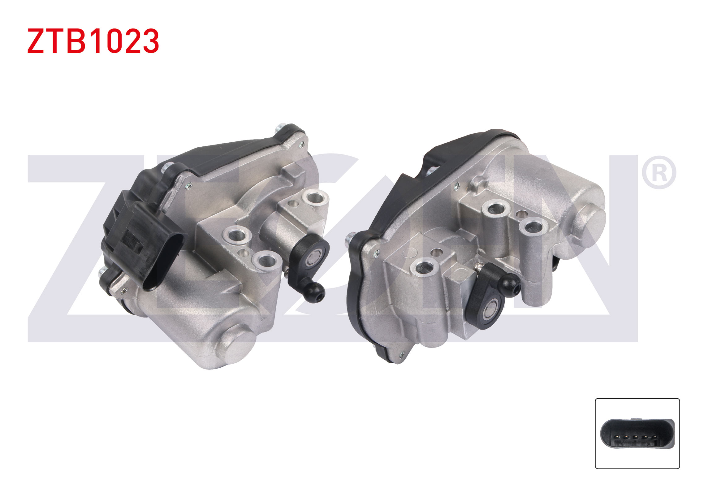 ZEGEN 101224