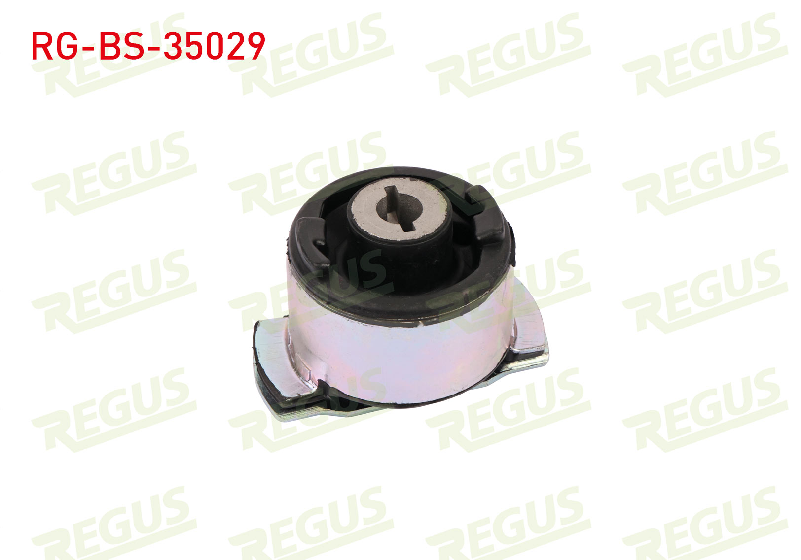 REGUS 23318