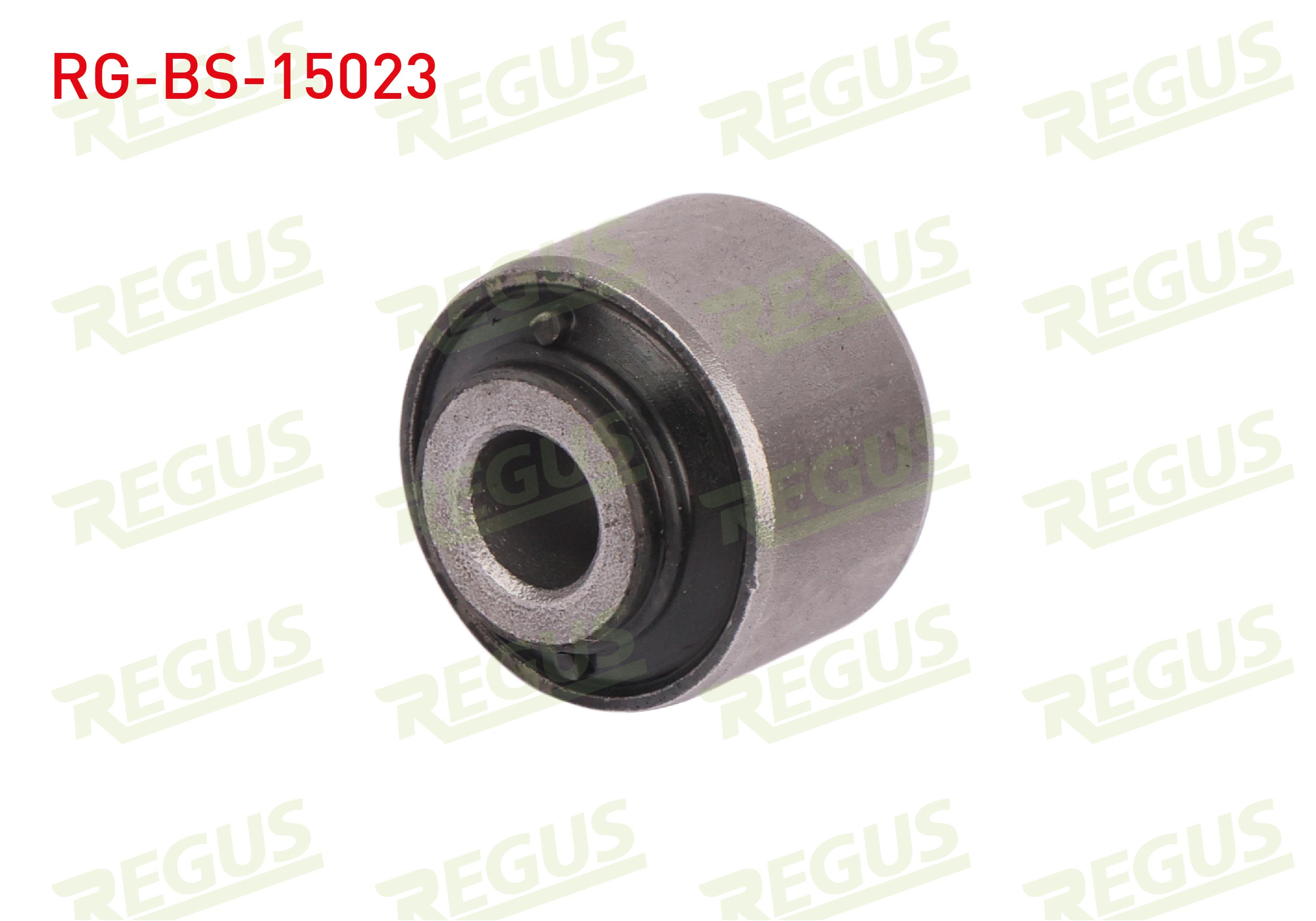 REGUS 57-10925