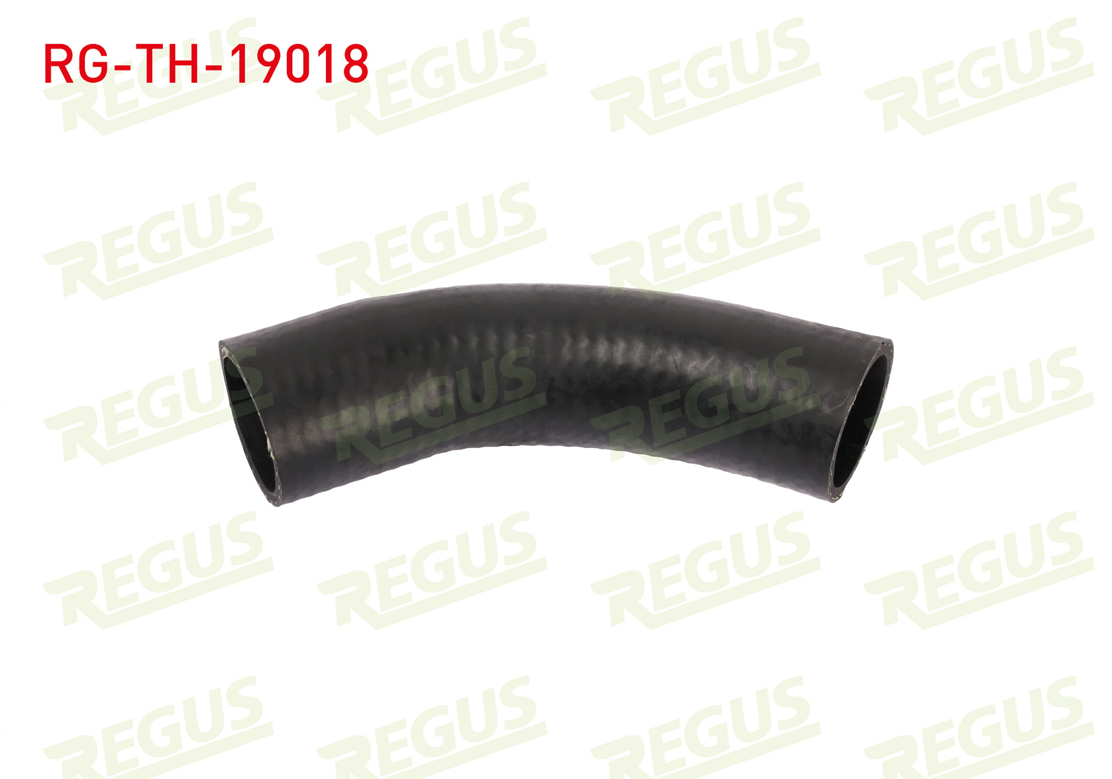 REGUS 19876