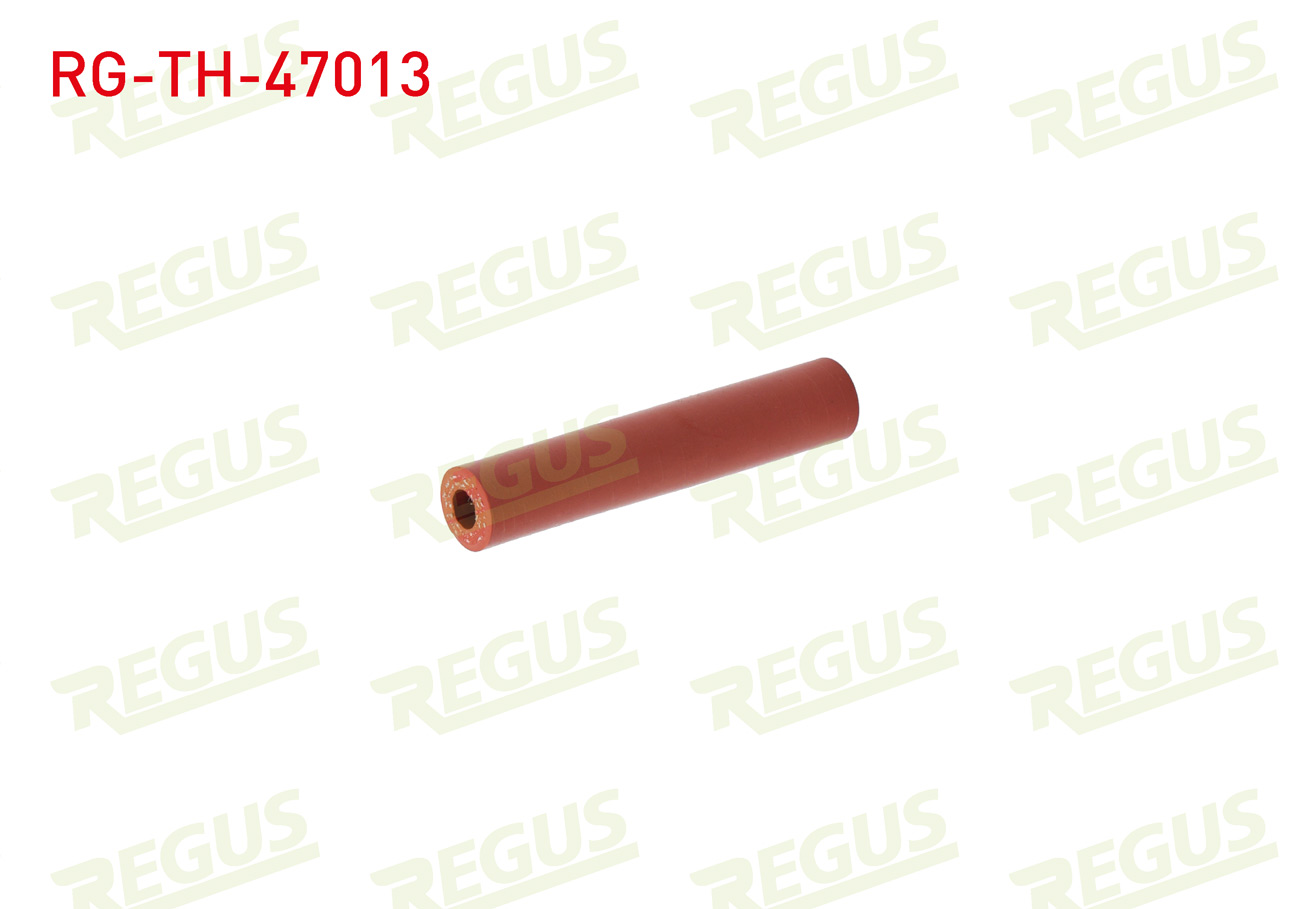 REGUS 11596